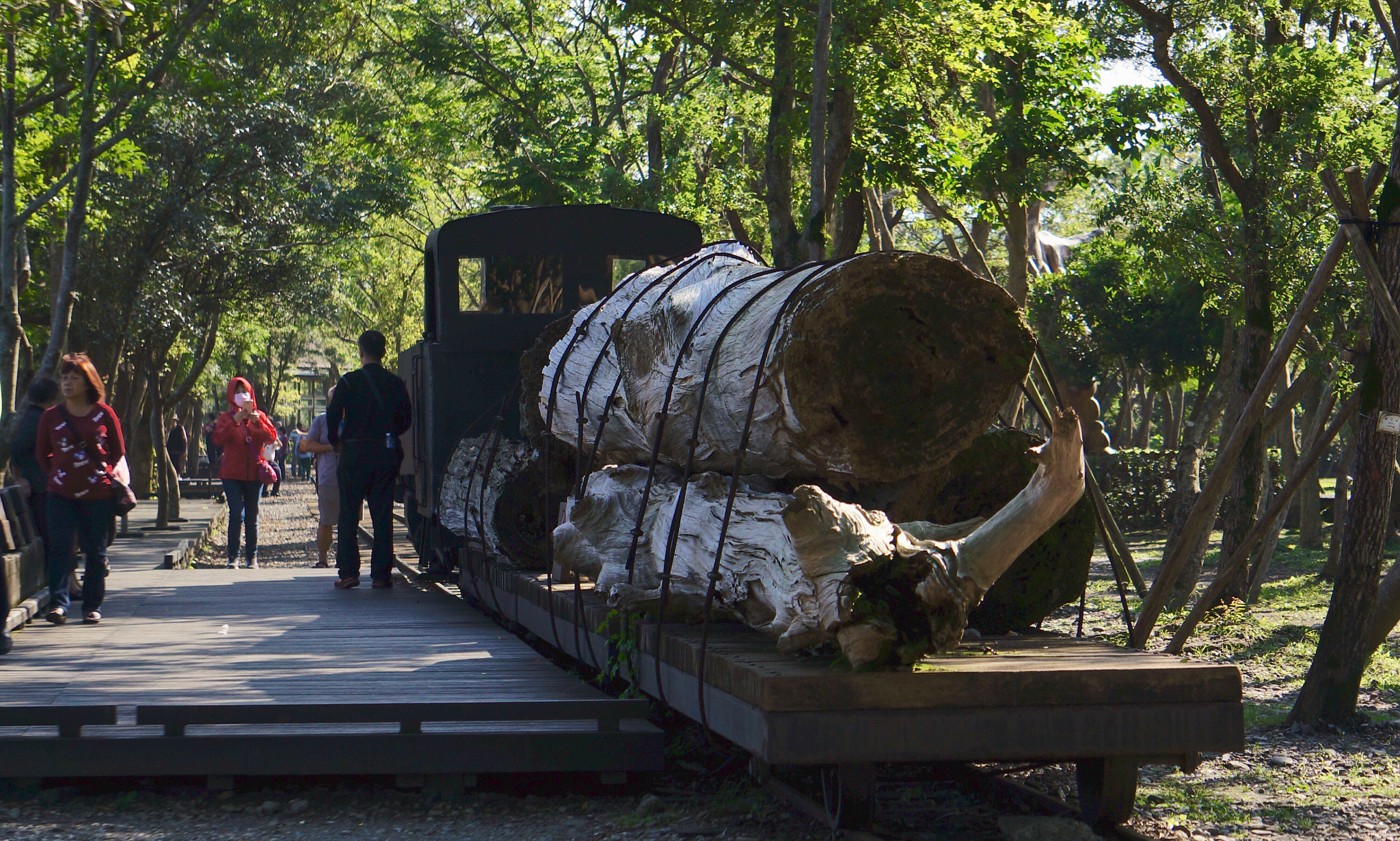Sony FE 24-240mm F3.5-6.3 OSS sample photo. Loaded lumber train photography