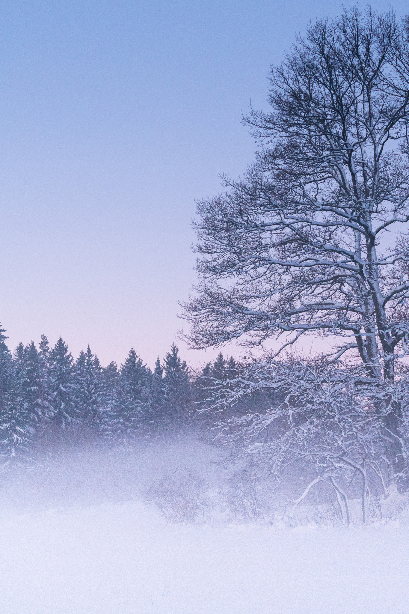 Sony a6300 + Sony FE 70-200mm F4 G OSS sample photo. Winter wonderland photography