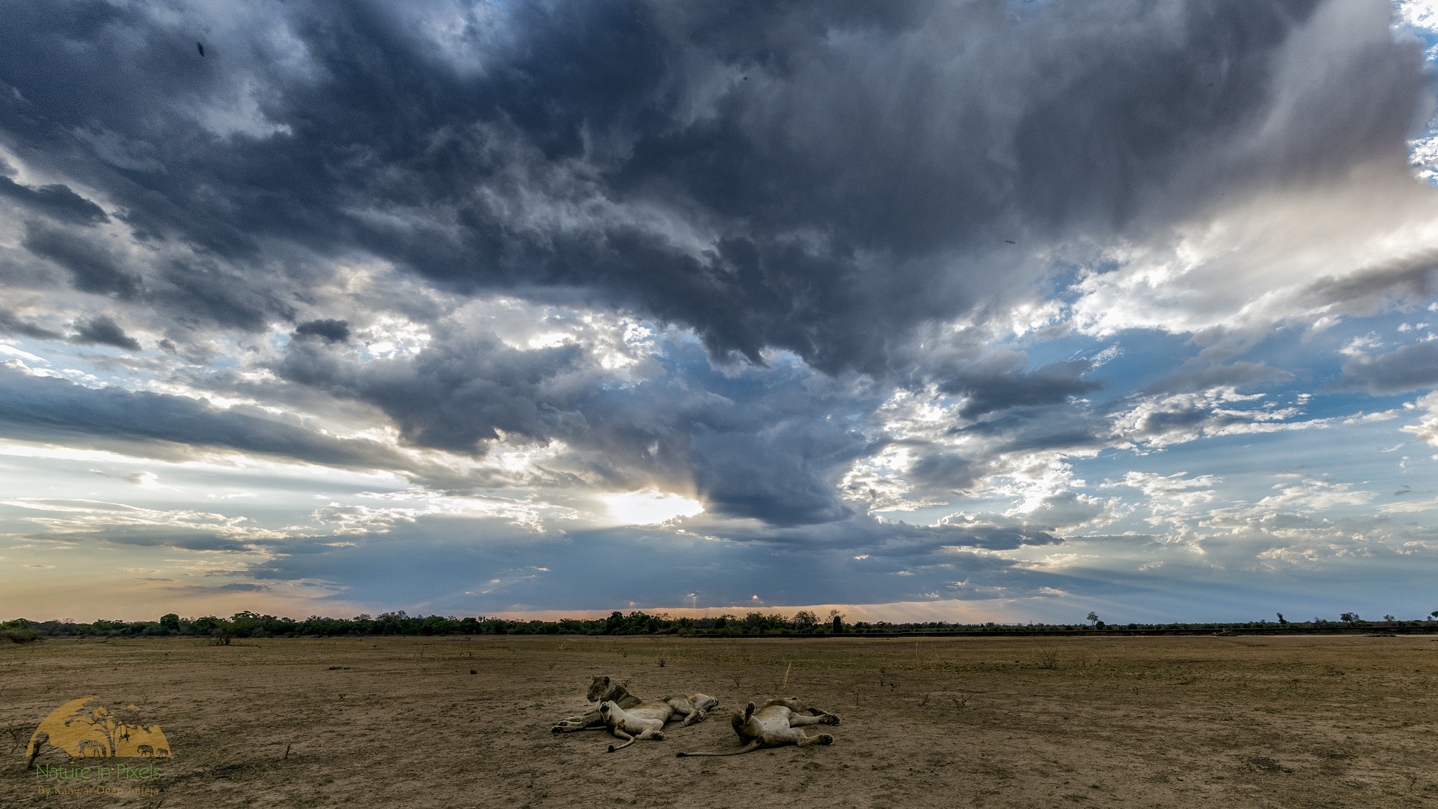 Nikon AF-S Nikkor 24-70mm F2.8E ED VR sample photo. Dramatic sky panorama photography