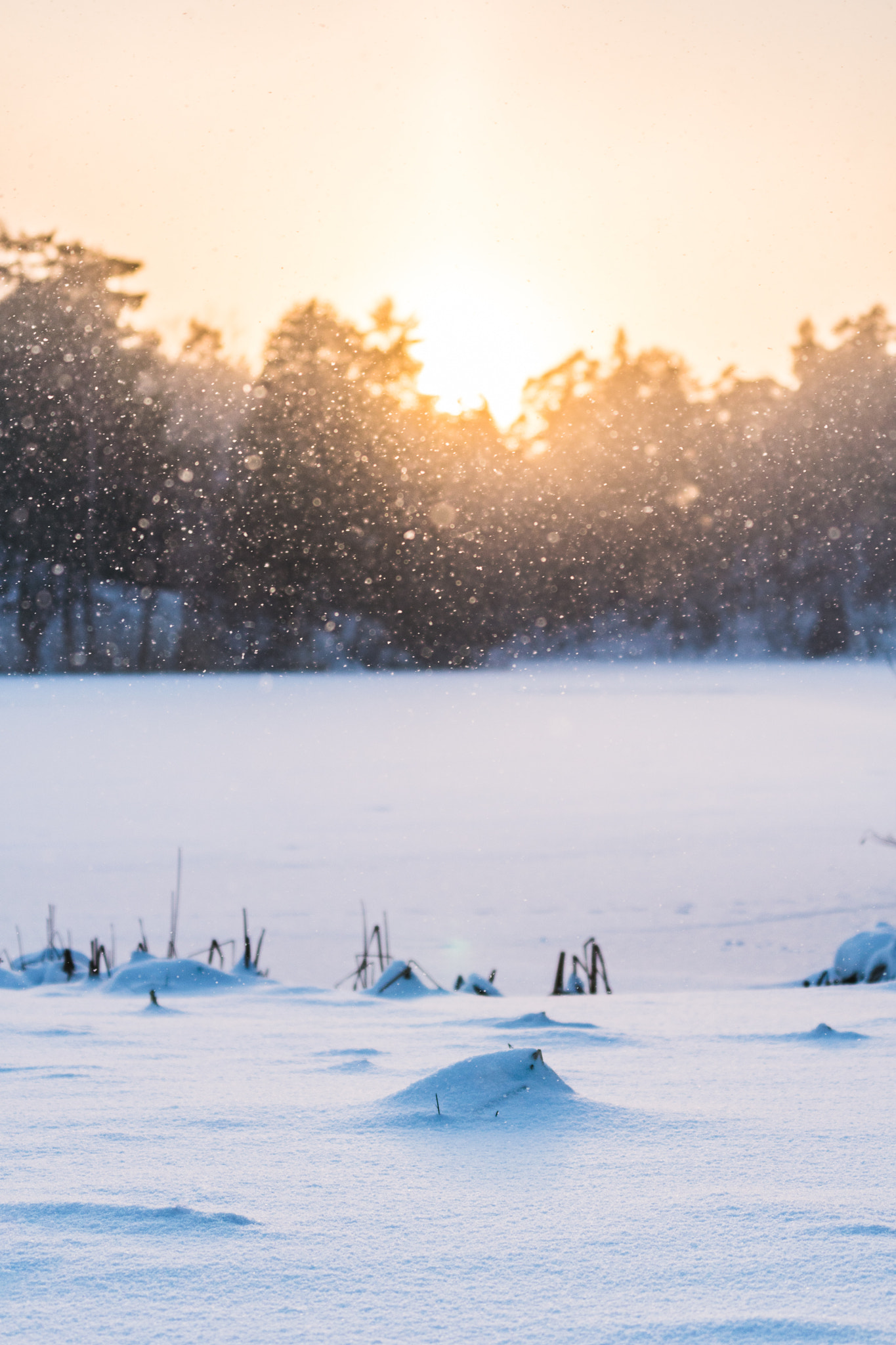 Sony a6300 + Sony FE 70-200mm F4 G OSS sample photo. Snowing at dusk photography