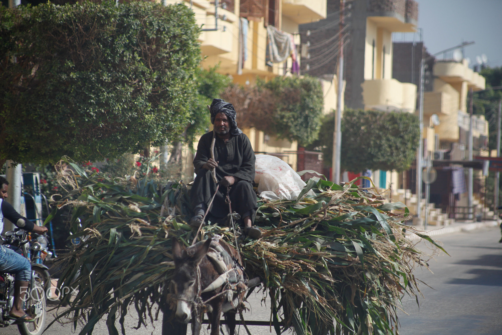 Canon EF 75-300mm f/4-5.6 USM sample photo. Egypt_038 photography