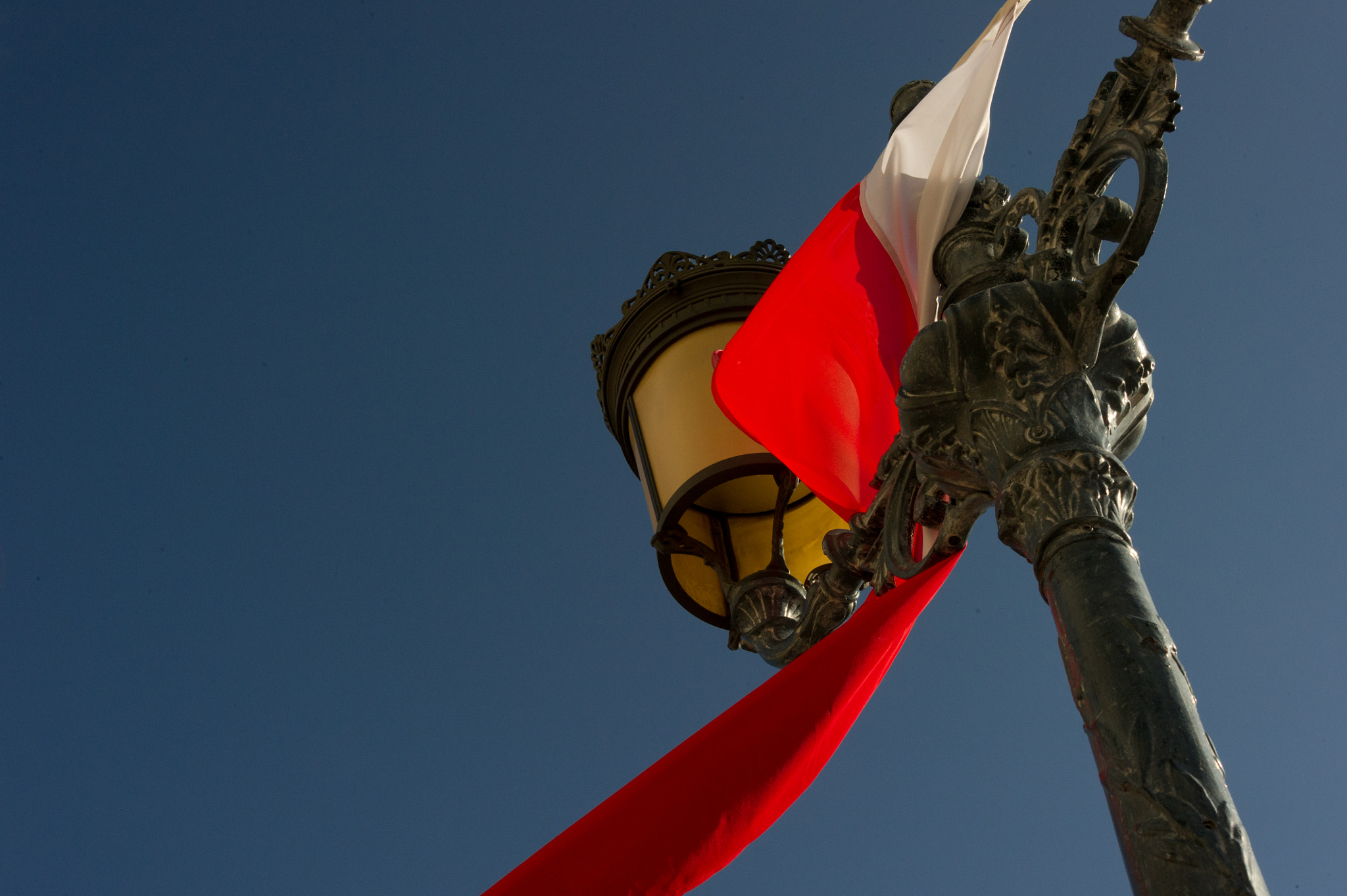 Nikon D3S sample photo. Look at that flag(?) photography