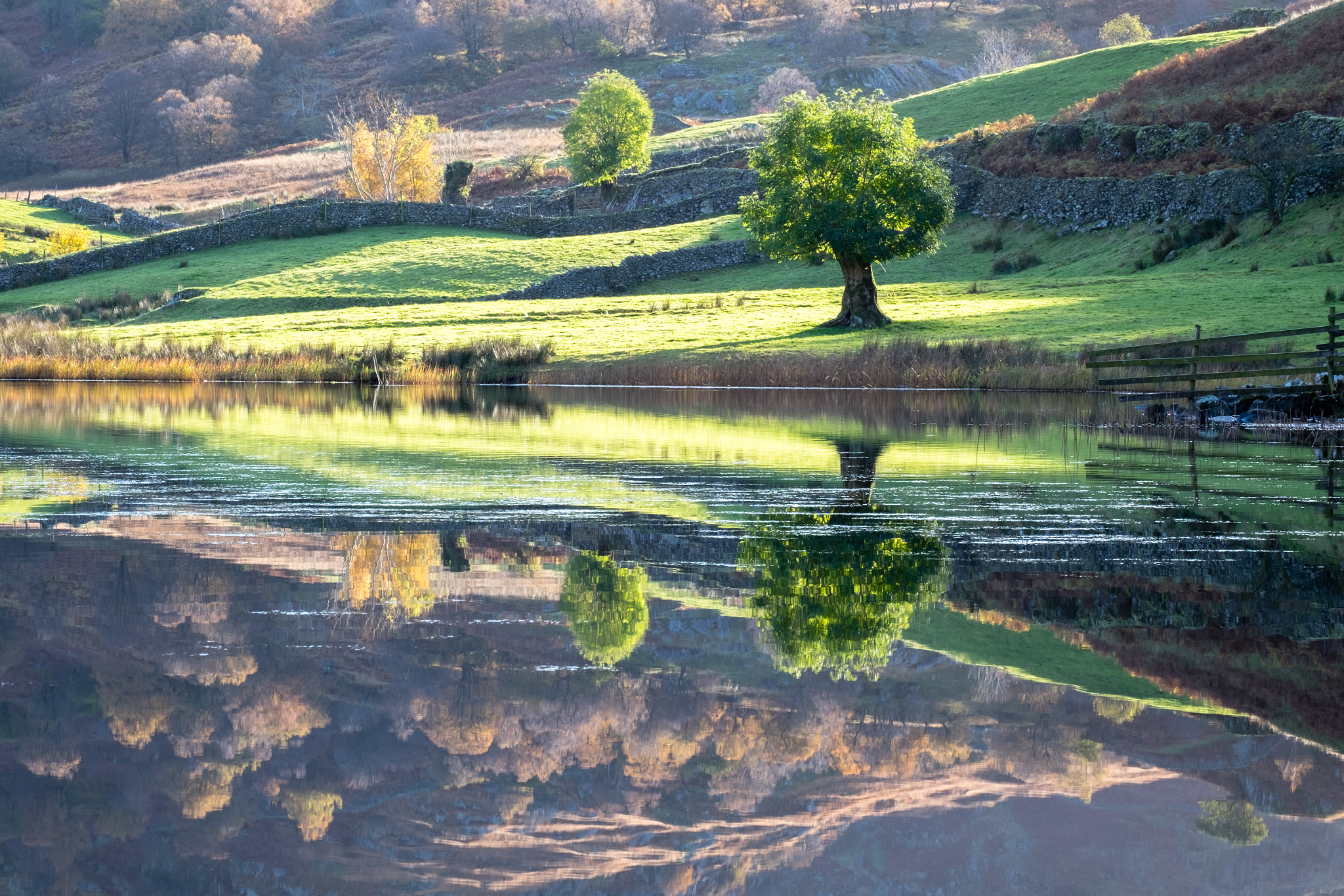 Fujifilm X-T1 sample photo. Autumn reflections photography