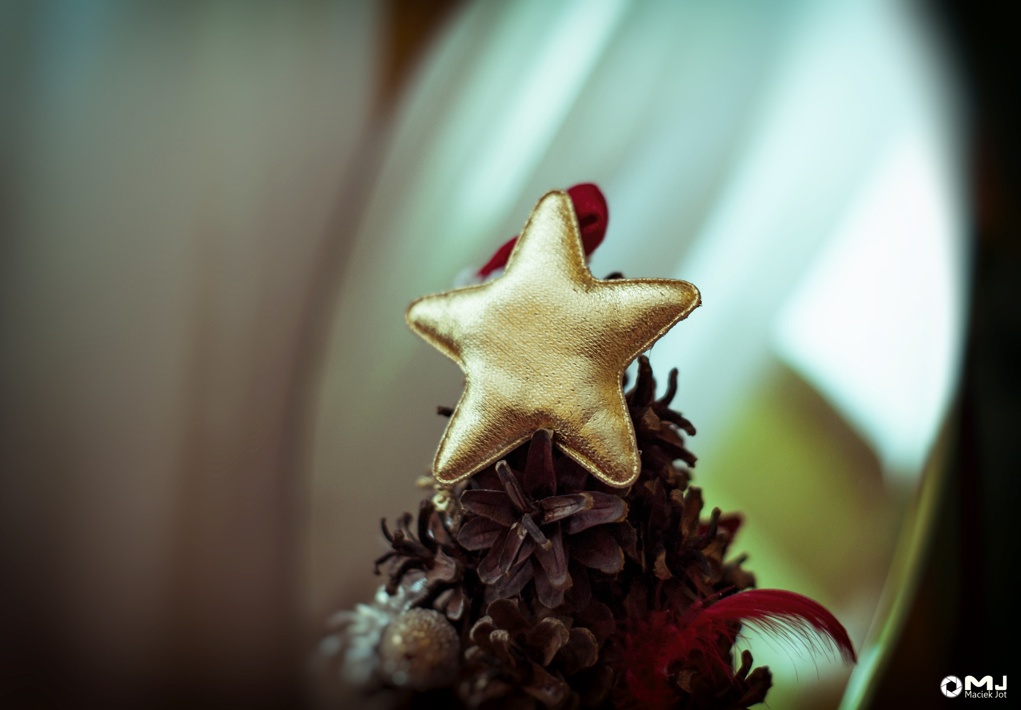 Sony Alpha DSLR-A350 + Minolta AF 50mm F1.7 sample photo. Mery xmas and the happy new year photography