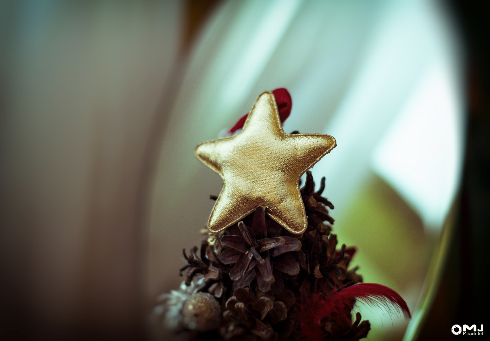 Sony Alpha DSLR-A350 sample photo. Mery xmas and the happy new year photography