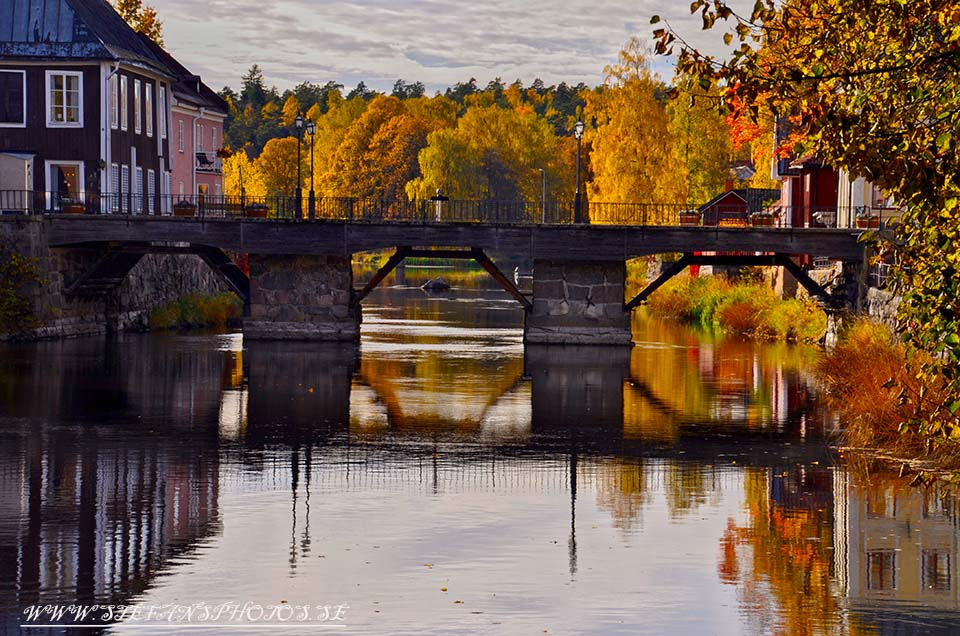 Nikon D5000 sample photo. Fall in arboga photography