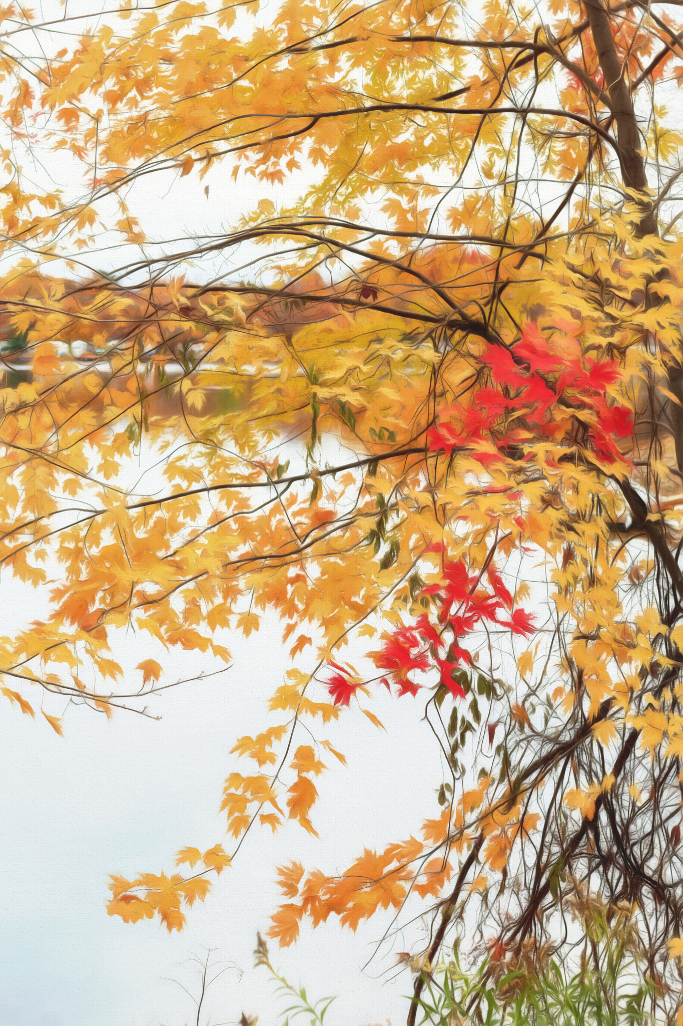 Sigma 50mm F1.4 EX DG HSM sample photo. Leaf photography