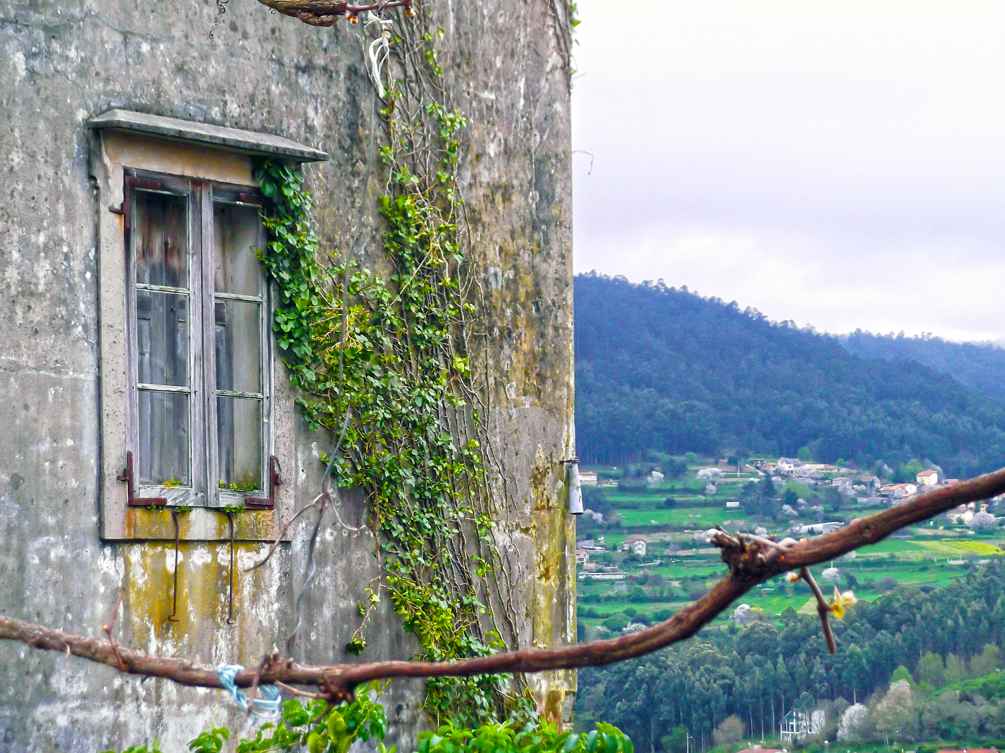 FujiFilm FinePix T200 (FinePix T205) sample photo. Ventana y paisaje photography