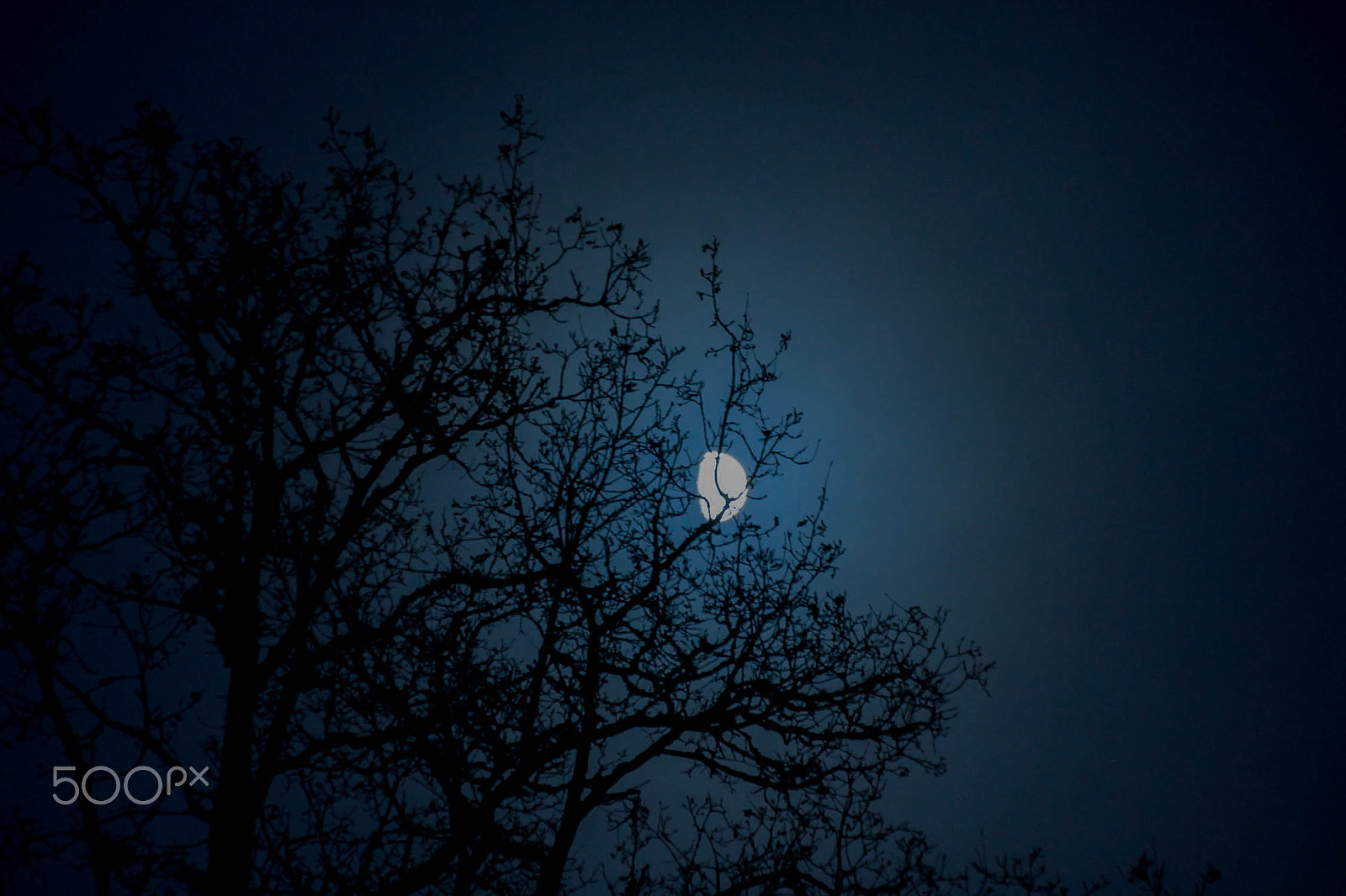 Canon EOS 1100D (EOS Rebel T3 / EOS Kiss X50) sample photo. The night moon photography