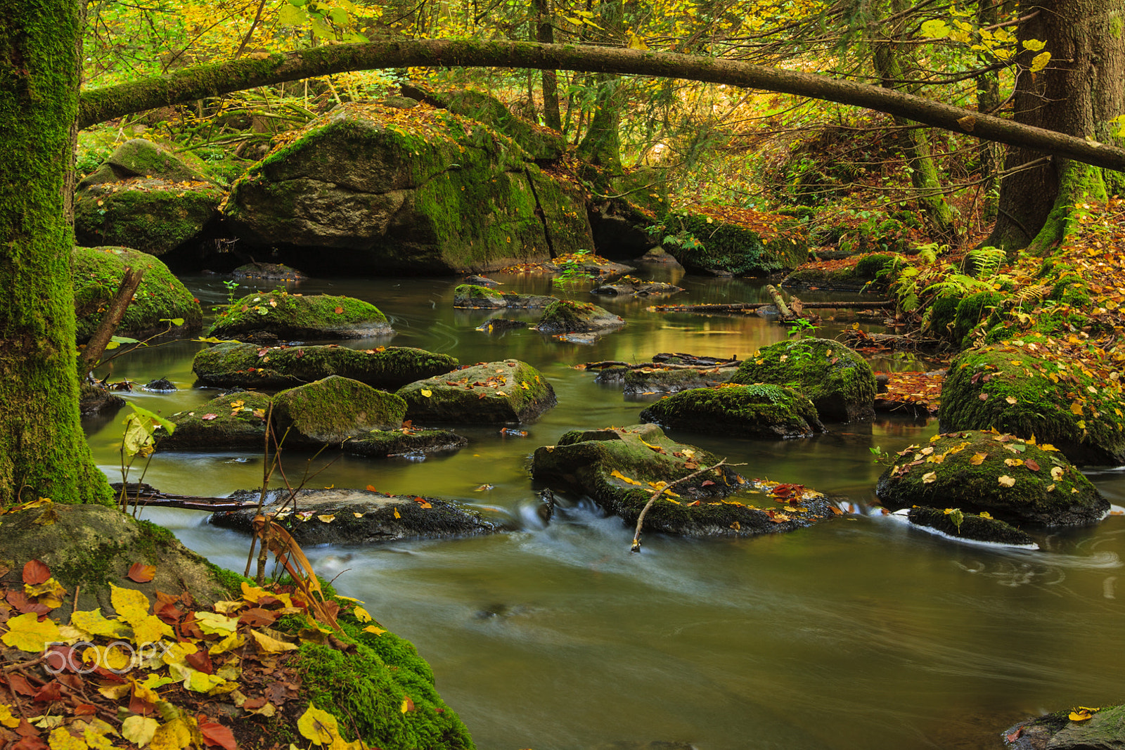 Canon EF 16-35mm F2.8L II USM sample photo. Green flow photography