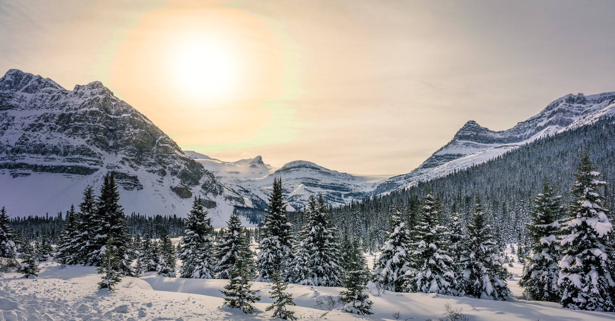 Sony a7R + Sony FE 28mm F2 sample photo. The beauty of winter. photography