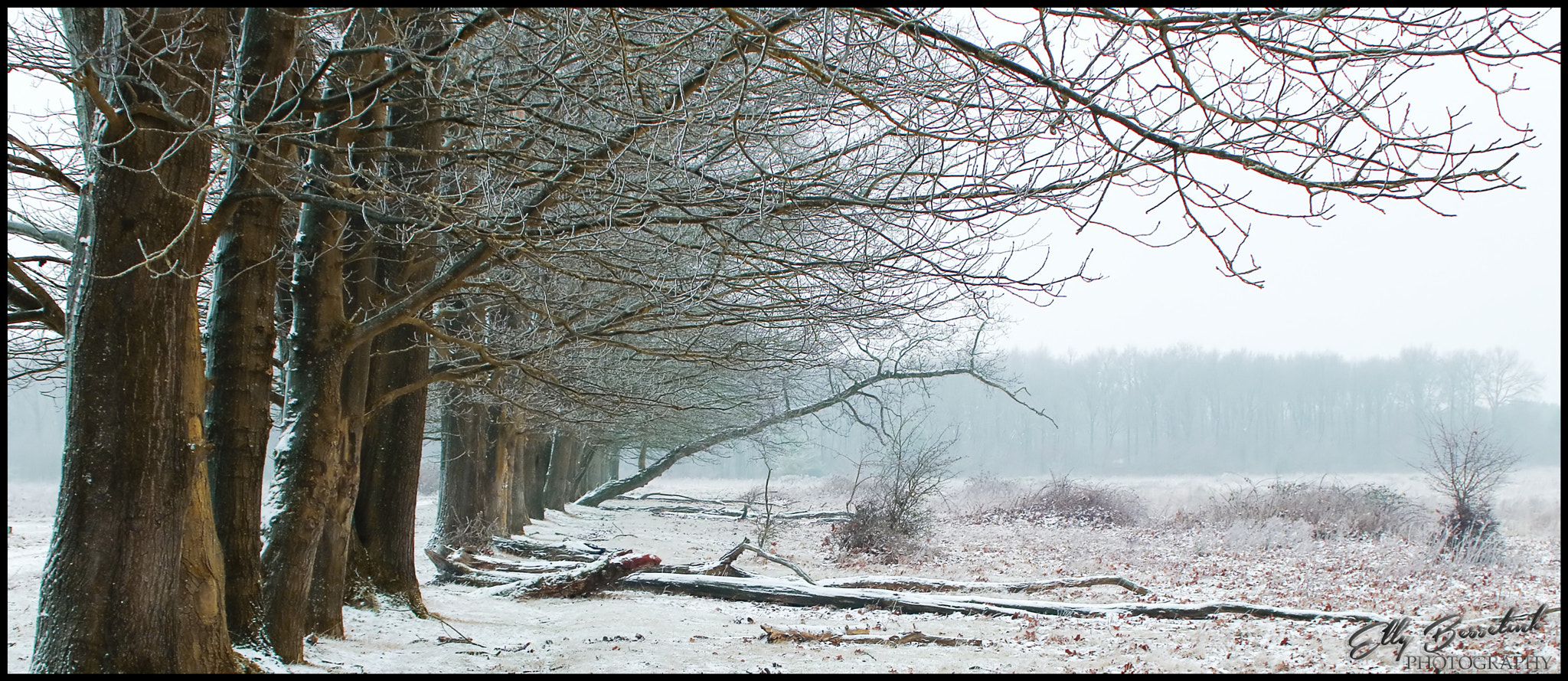 Canon EF 28-80mm f/3.5-5.6 sample photo. A little bit of winter photography