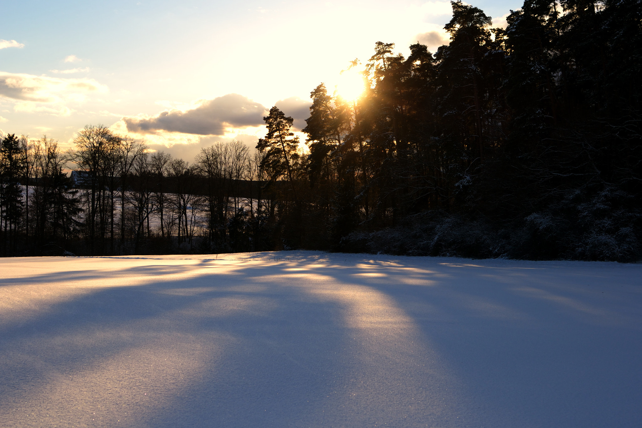 Nikon D3100 + AF Zoom-Nikkor 35-80mm f/4-5.6D sample photo. Sunny shades photography