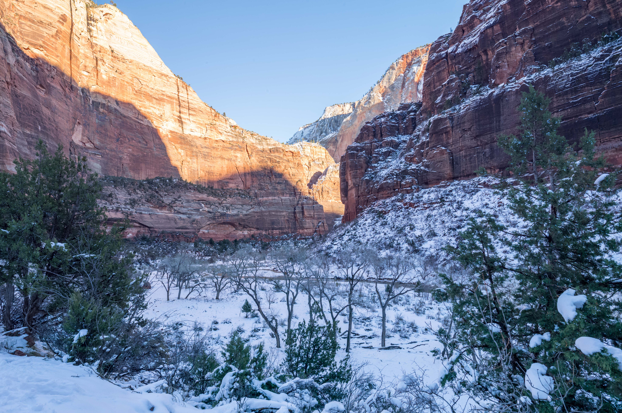 Leica S (TYP 006) sample photo. Zion valley (of ) photography