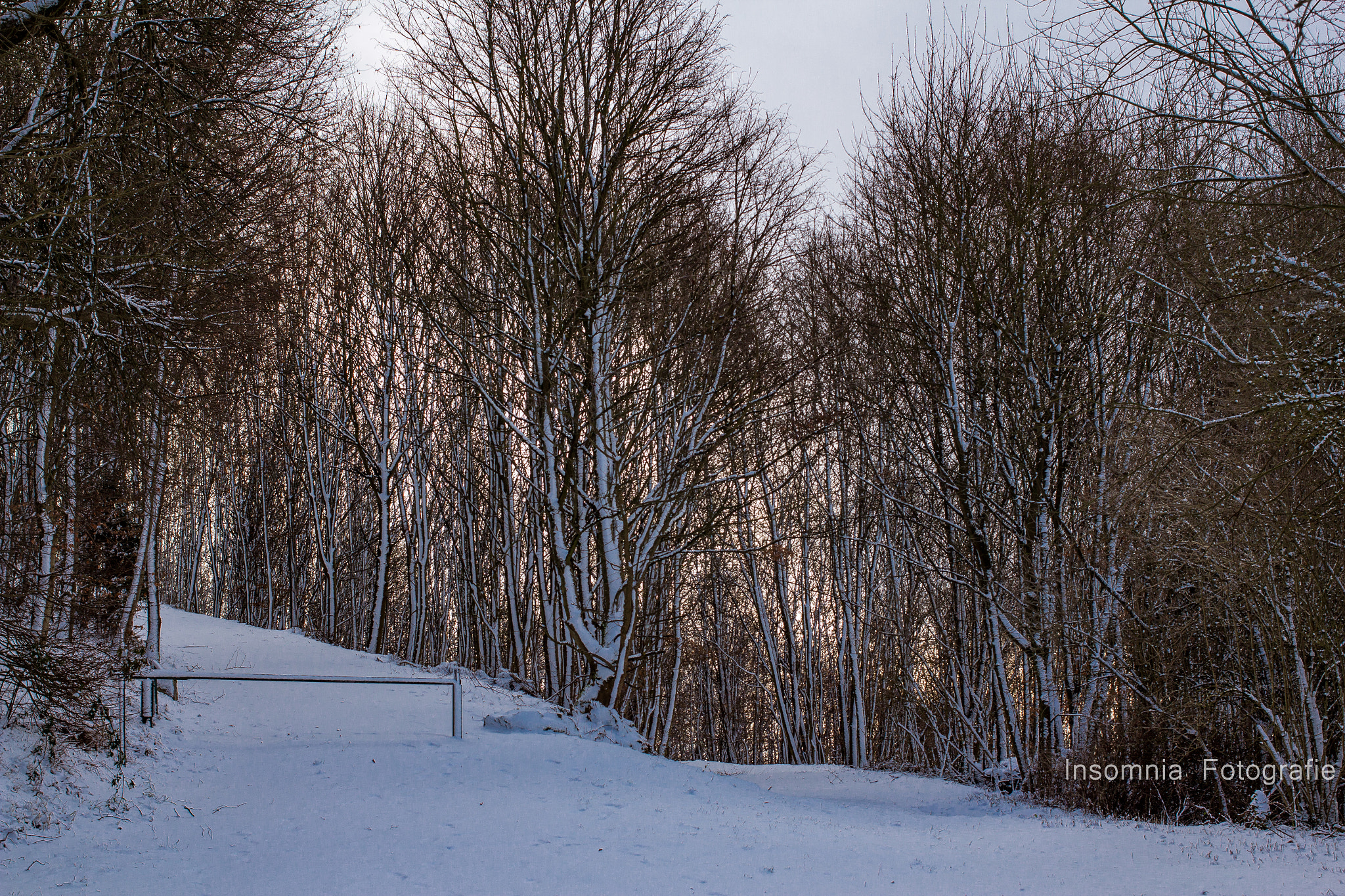 Canon EOS 600D (Rebel EOS T3i / EOS Kiss X5) + Canon EF 40mm F2.8 STM sample photo. Winter bei niedenstein photography
