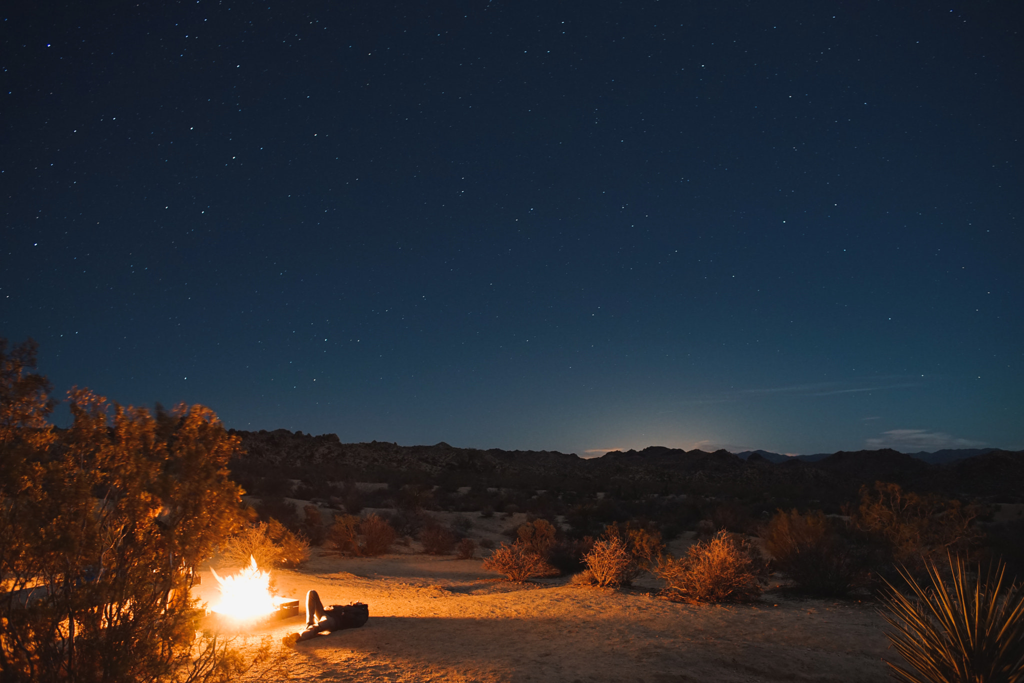 Sony a7 sample photo. Joshua tree photography