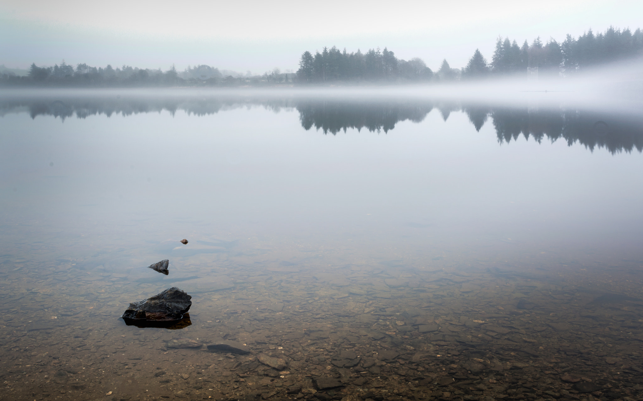 Sigma 24-70mm F2.8 EX DG HSM sample photo. Winters grasp photography