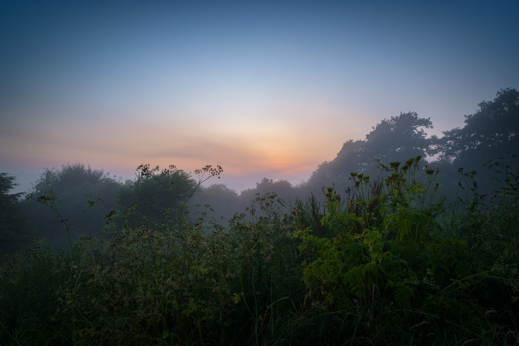 Nikon D750 + Samyang 12mm F2.8 ED AS NCS Fisheye sample photo. After the rain photography