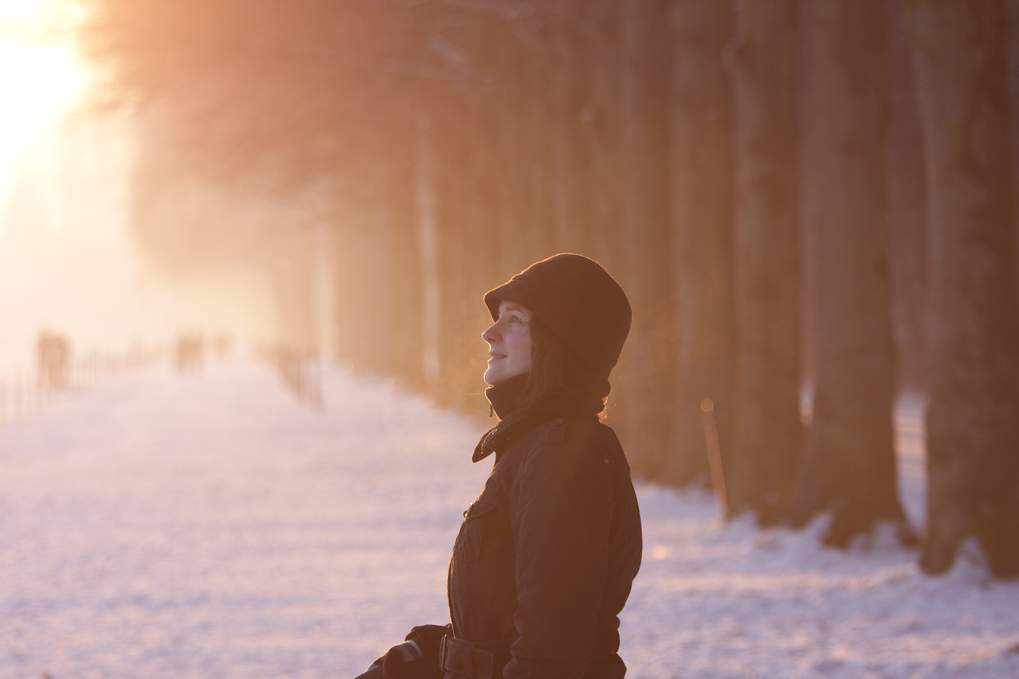Canon EOS 50D + Canon EF 70-200mm F4L IS USM sample photo. Golden light photography