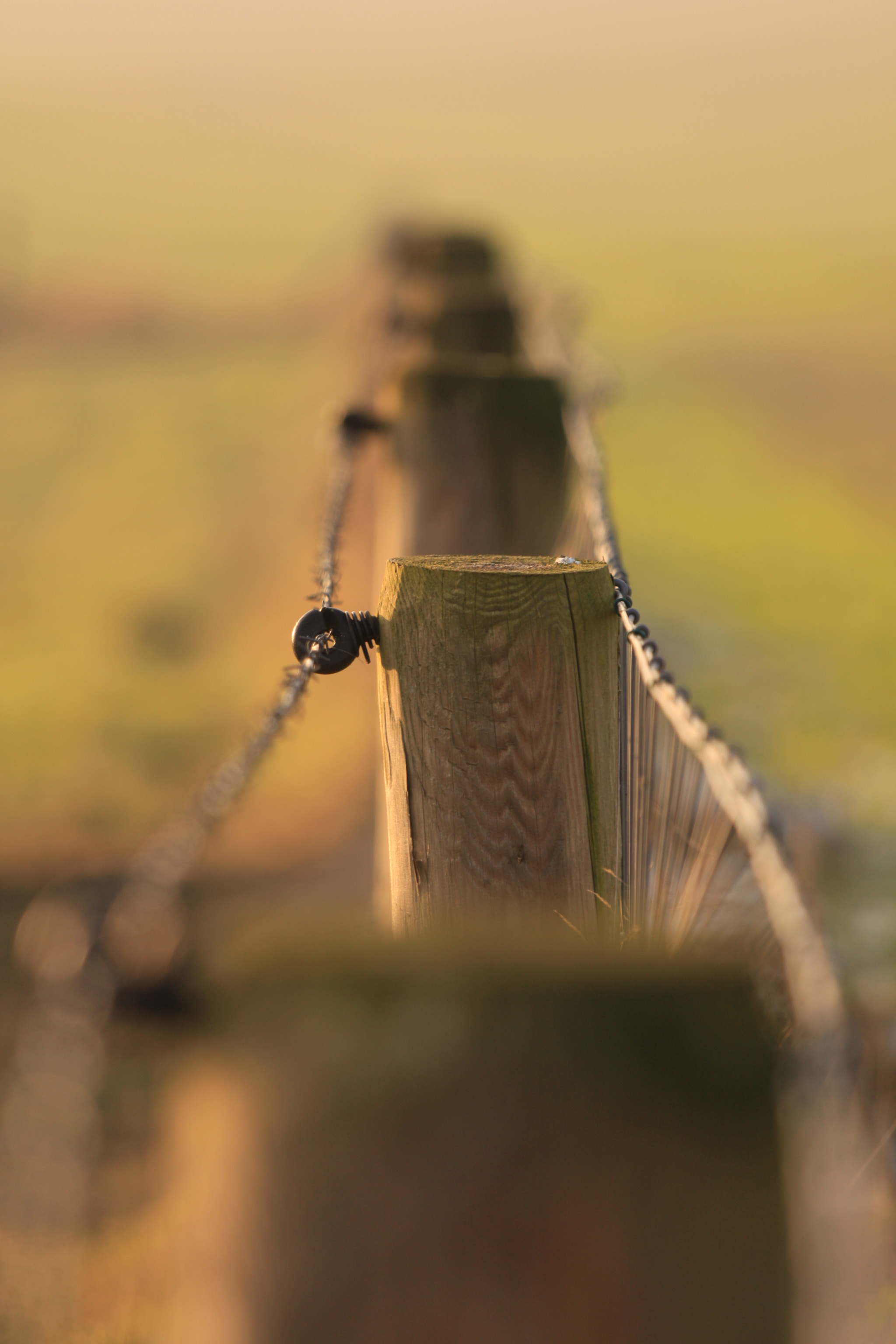 Canon EOS 50D + Canon EF 70-200mm F4L IS USM sample photo. Img photography