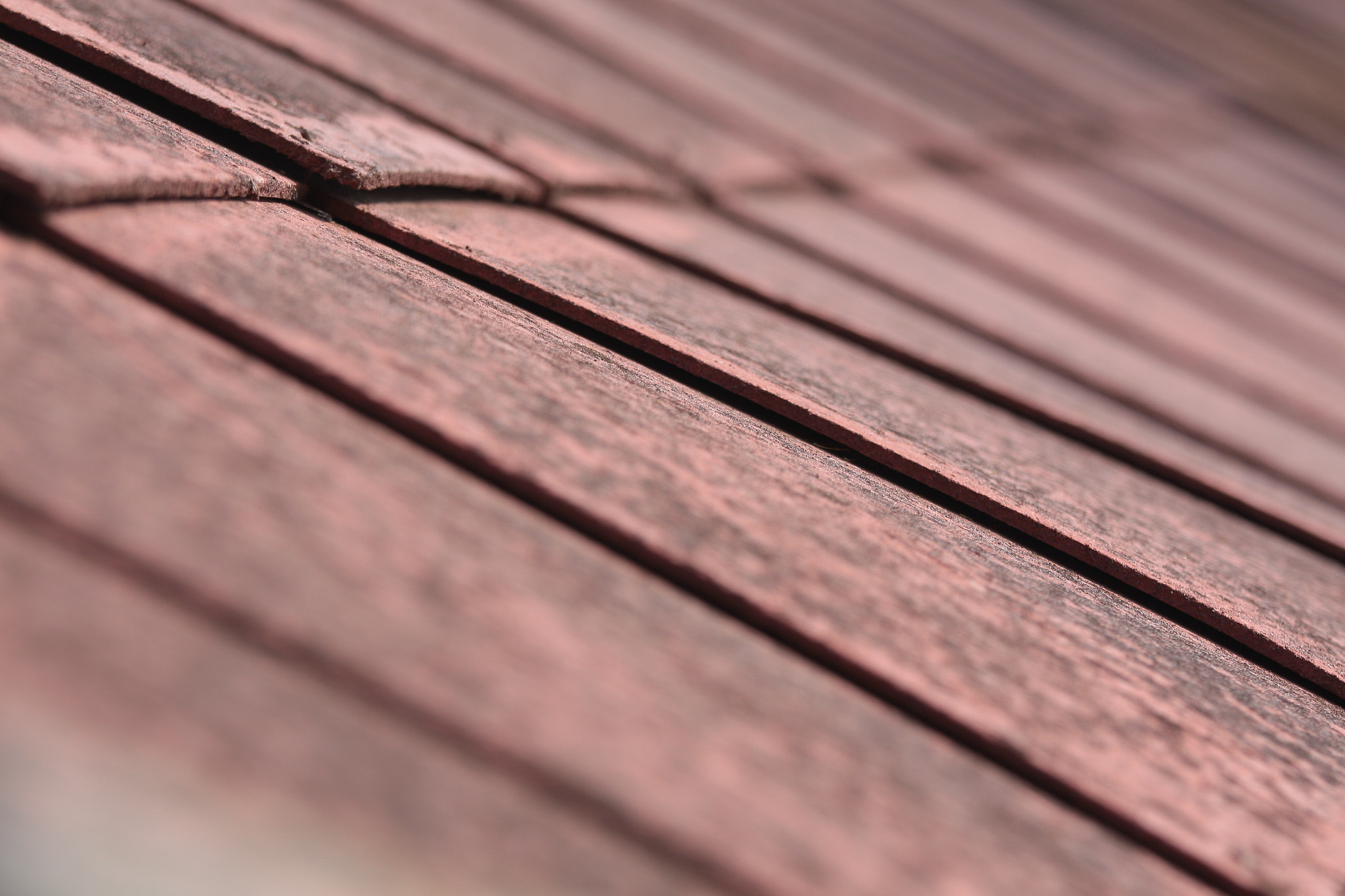 Canon EOS 50D + Canon EF 70-200mm F4L IS USM sample photo. Img photography