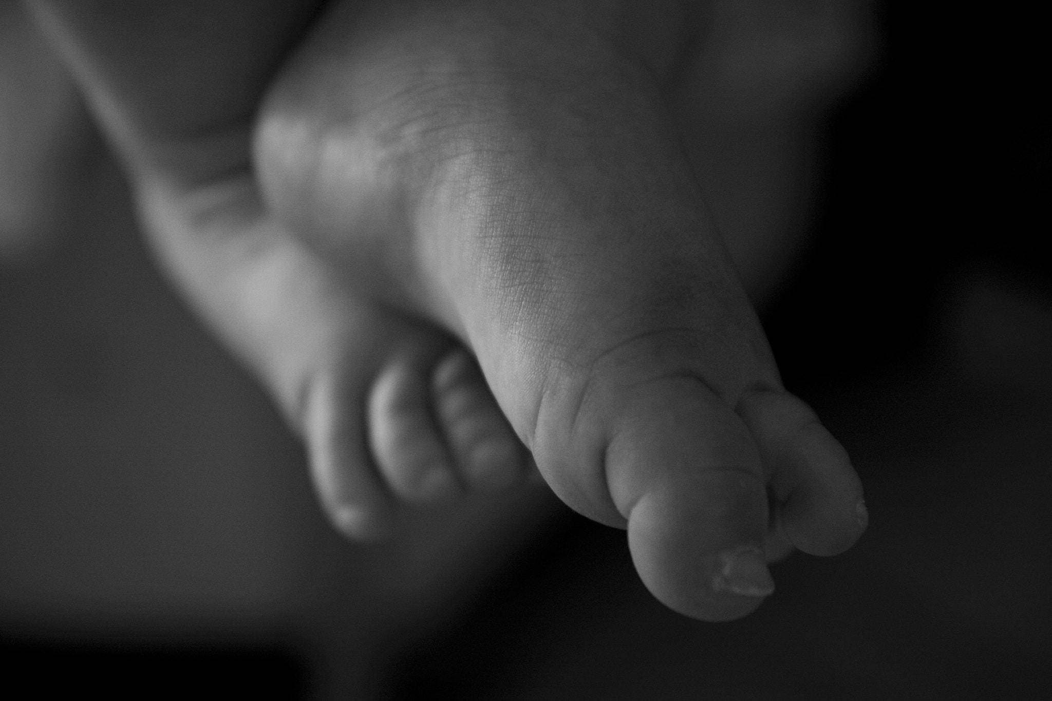 Canon EOS 50D sample photo. Jav bw photography