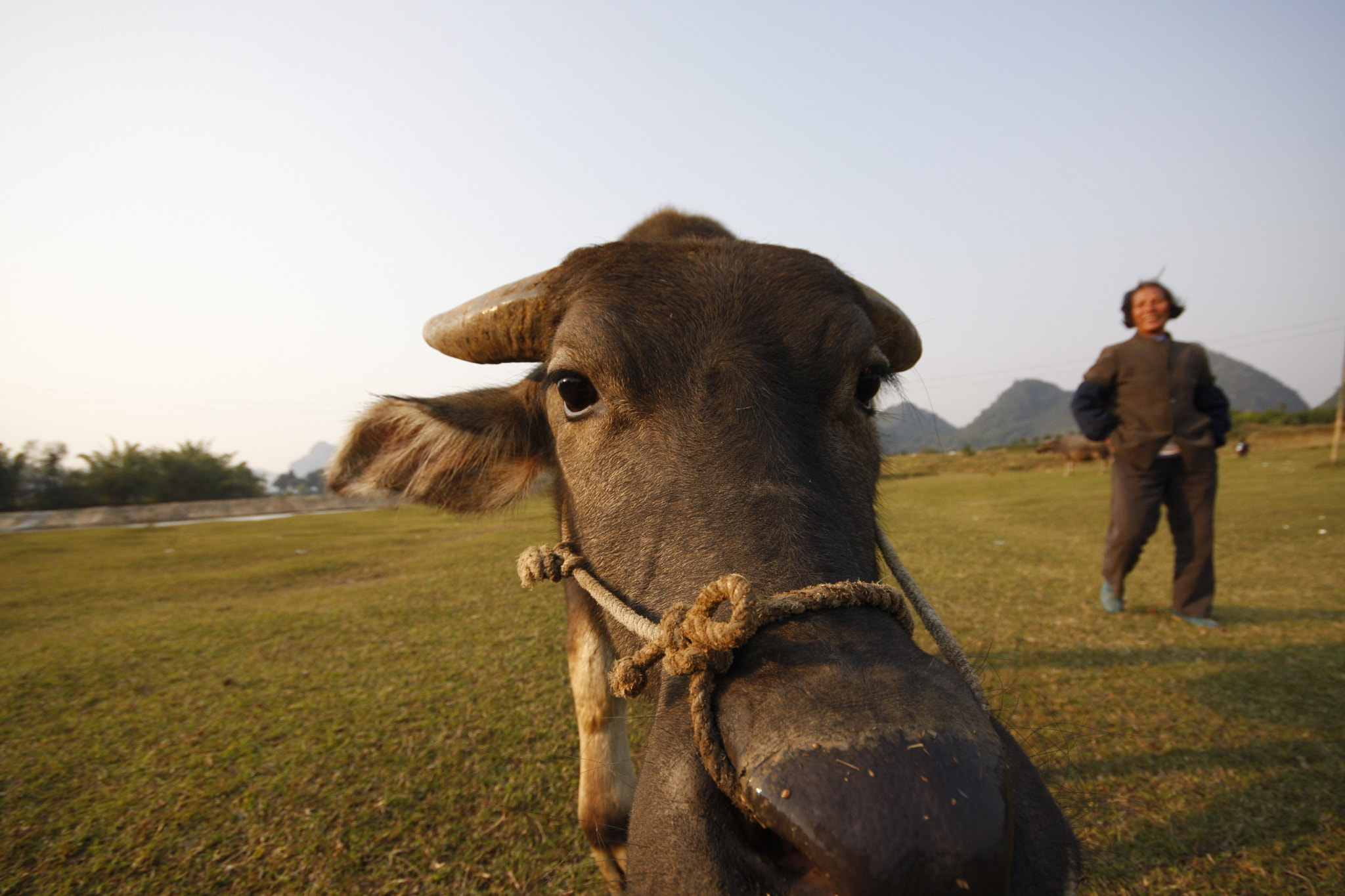 Canon EOS 40D + Sigma 10-20mm F4-5.6 EX DC HSM sample photo. Curious critter photography