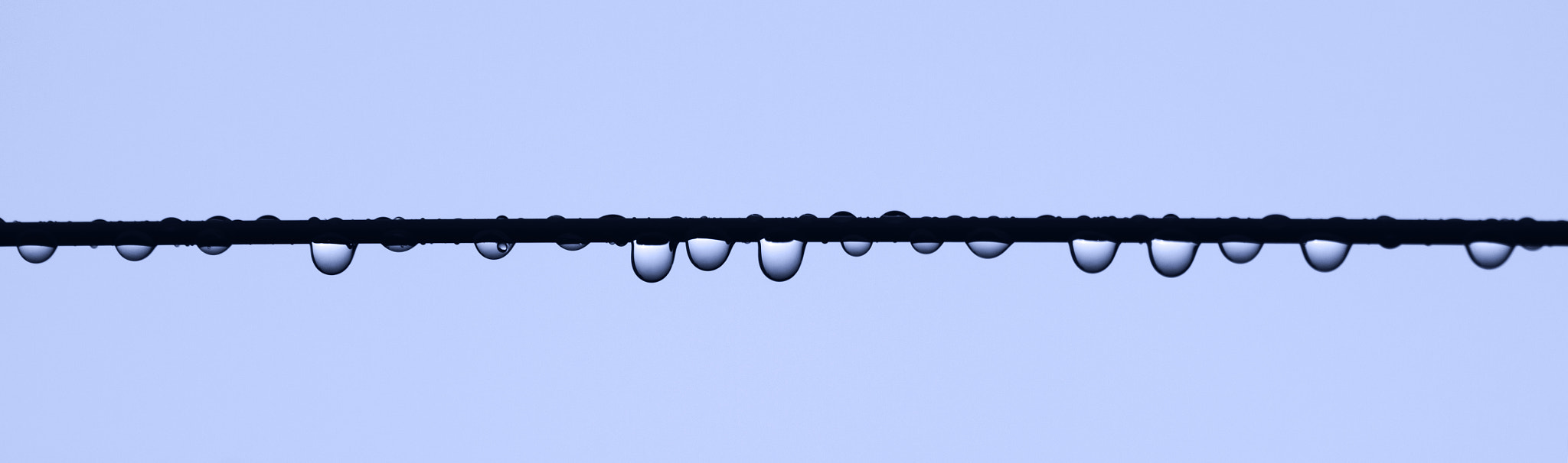 Canon EOS 50D sample photo. Raindrops on a wire photography