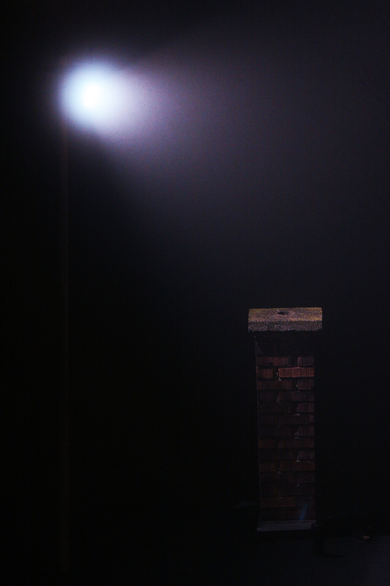 Canon EOS 50D + Canon EF 70-200mm F4L IS USM sample photo. Halt, who goes there? photography
