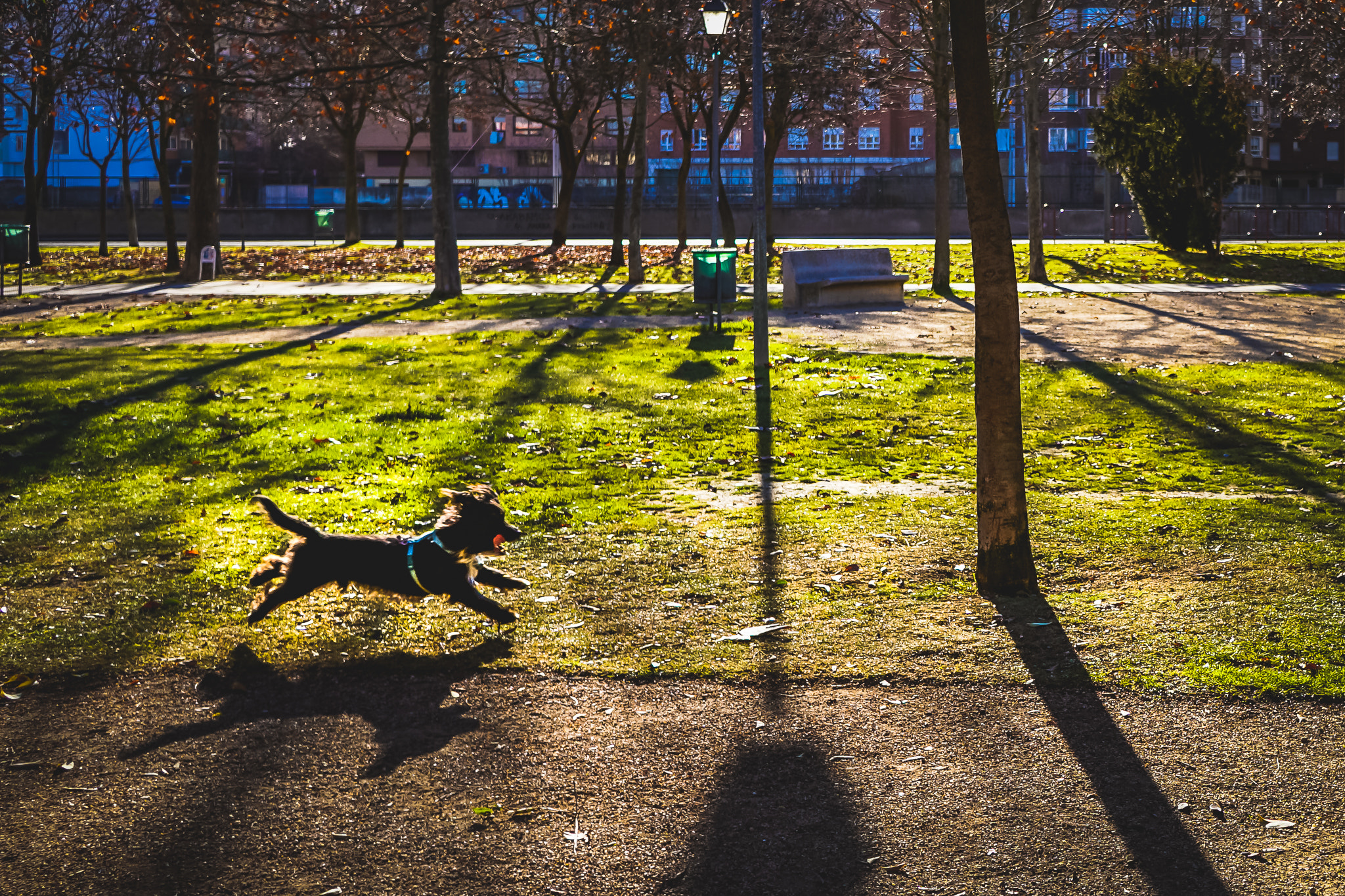 Sony a6300 + Sony E 20mm F2.8 sample photo. Palencia 2017 photography