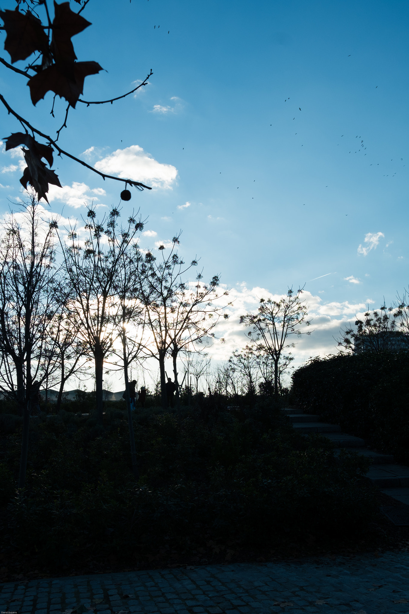 Fujifilm X-Pro1 + Fujifilm XF 23mm F2 R WR sample photo. Cielos azules, sombras negras. photography