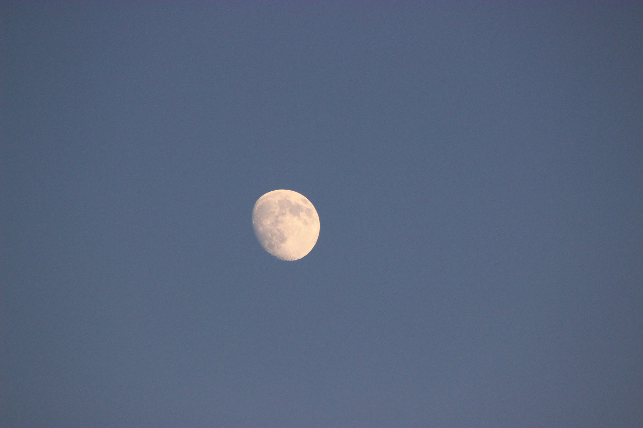 Canon EF 75-300mm f/4-5.6 USM sample photo. Img photography