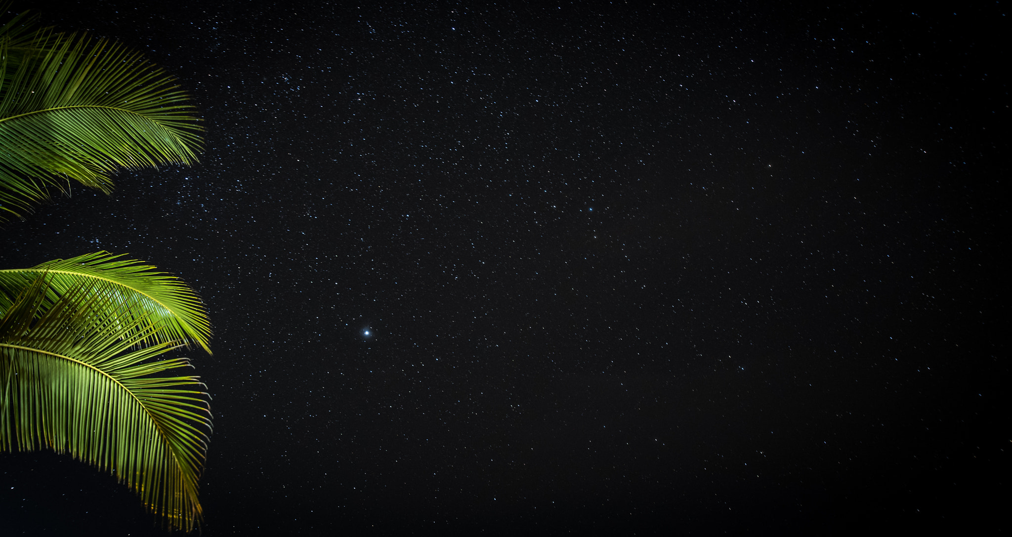 Nikon D810 + Samyang 16mm F2 ED AS UMC CS sample photo. ¿cual estrella es la tuya? photography