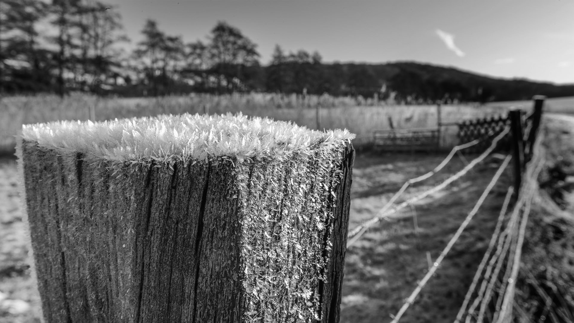 Canon EF 16-35mm F2.8L II USM sample photo. Tiny frost pattern on a fence post photography