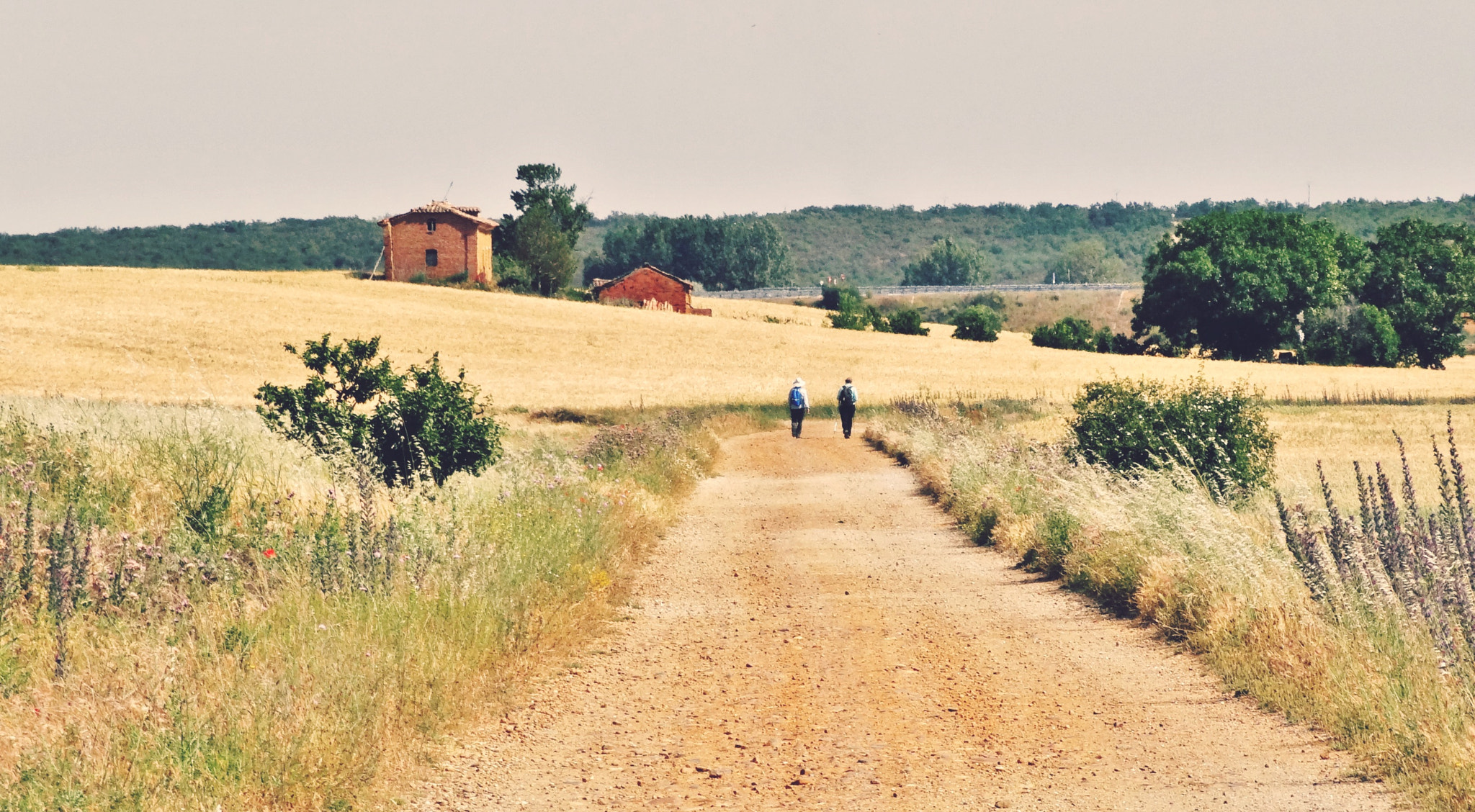 Sony Cyber-shot DSC-HX30V sample photo. On the camino. photography