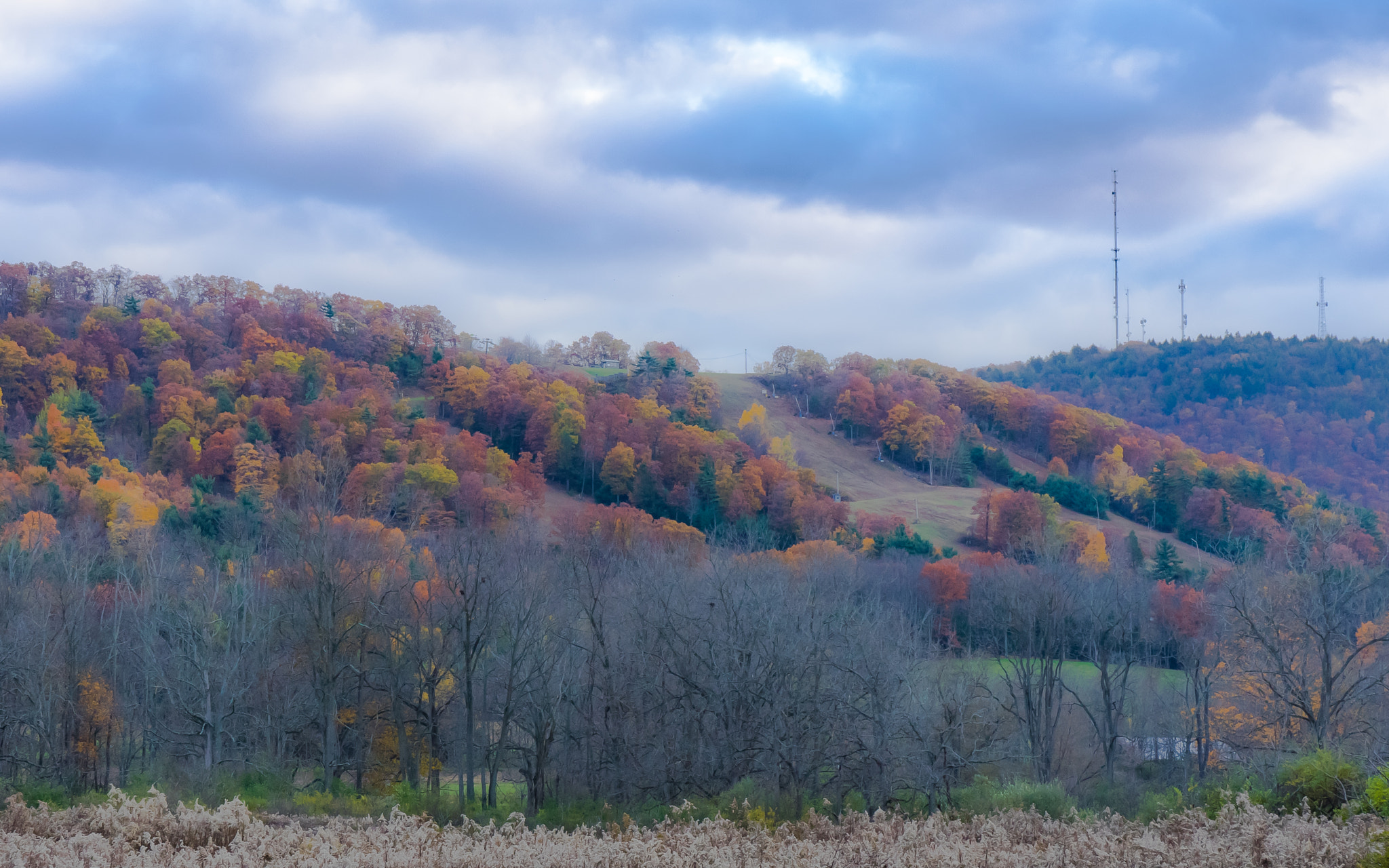 Sony Vario-Tessar T* E 16-70mm F4 ZA OSS sample photo. Blossom before the winter photography