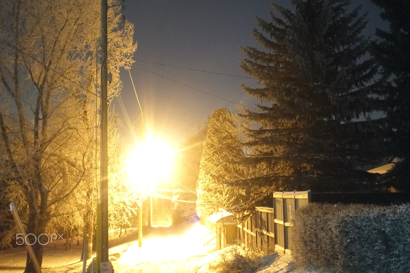 Minolta AF 28-85mm F3.5-4.5 New sample photo. Ice trees photography