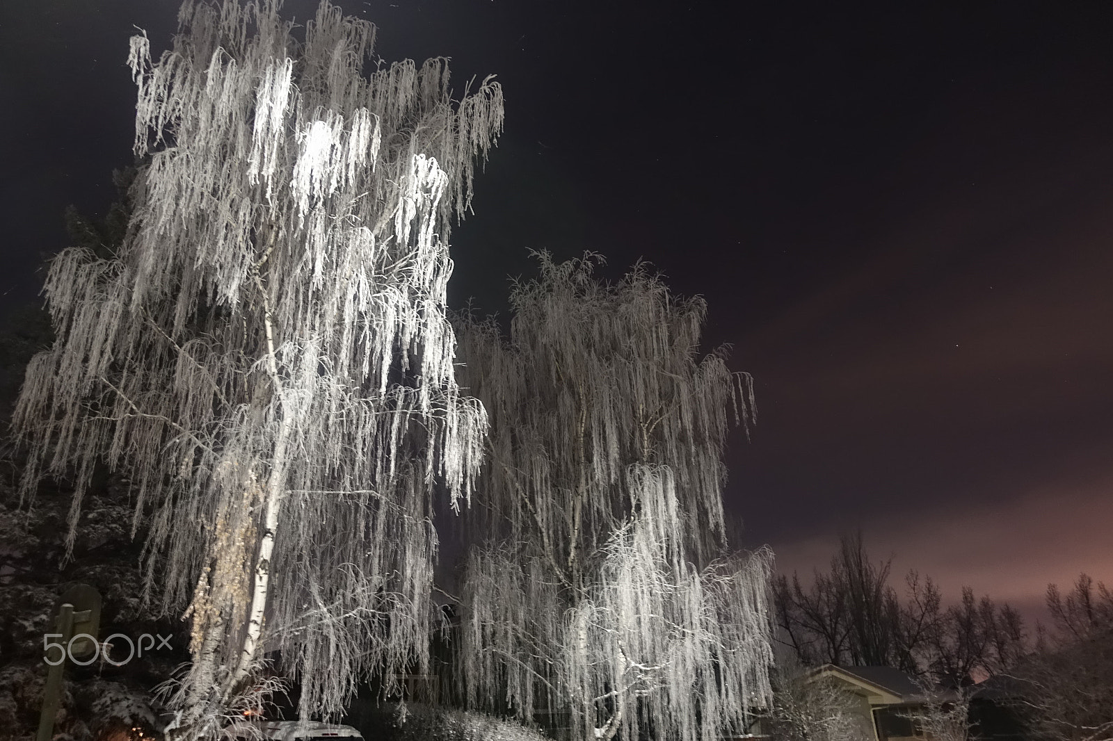 Sony DSC-RX100M5 sample photo. Ice trees photography