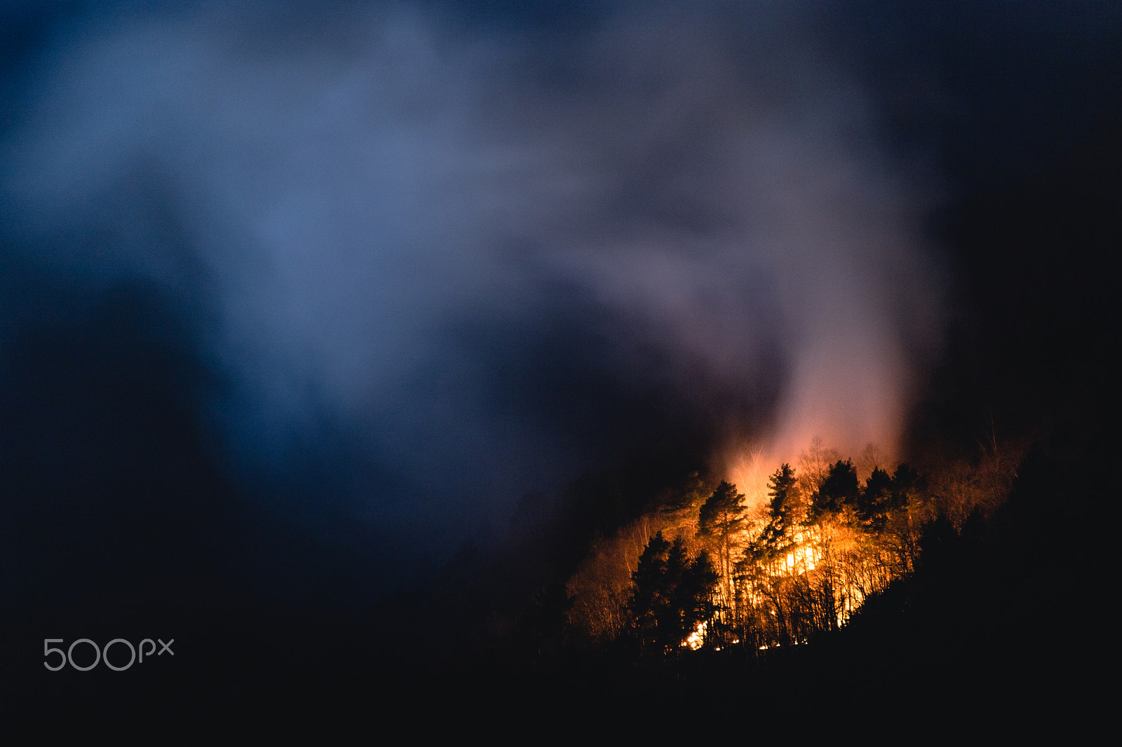 Sony a5100 sample photo. Nature on fire #1 photography