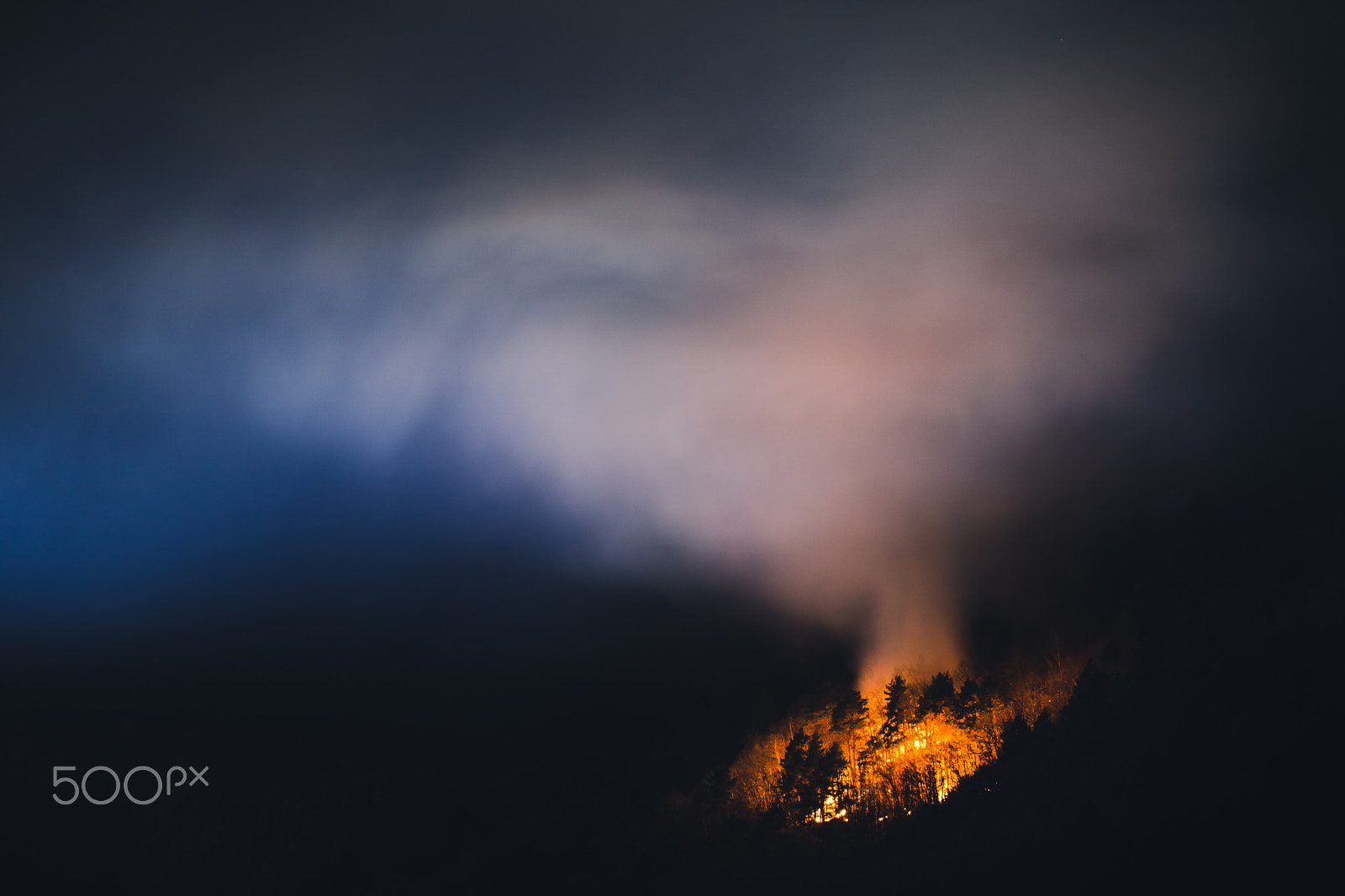 Sony a5100 sample photo. Nature on fire #2 photography
