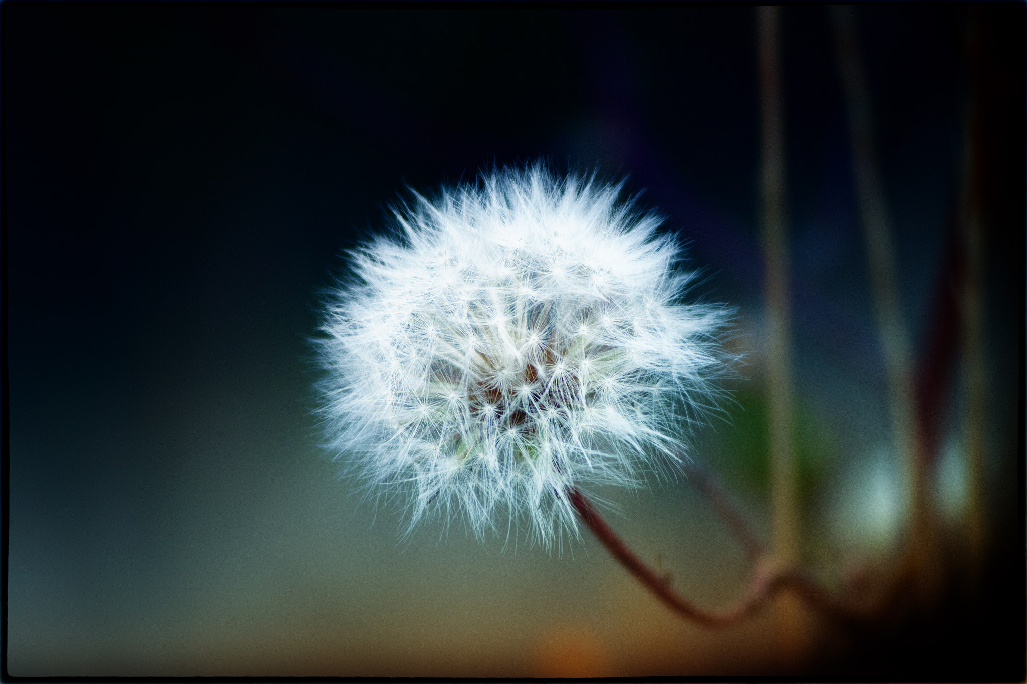 Canon EF 35-80mm f/4-5.6 sample photo. *** photography