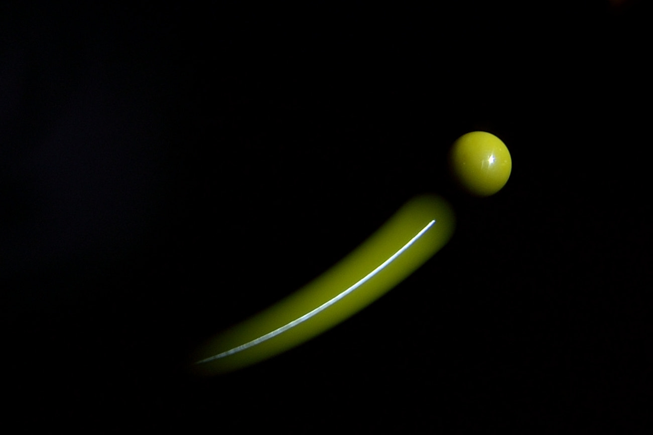 Nikon D800E sample photo. Yellow up photography