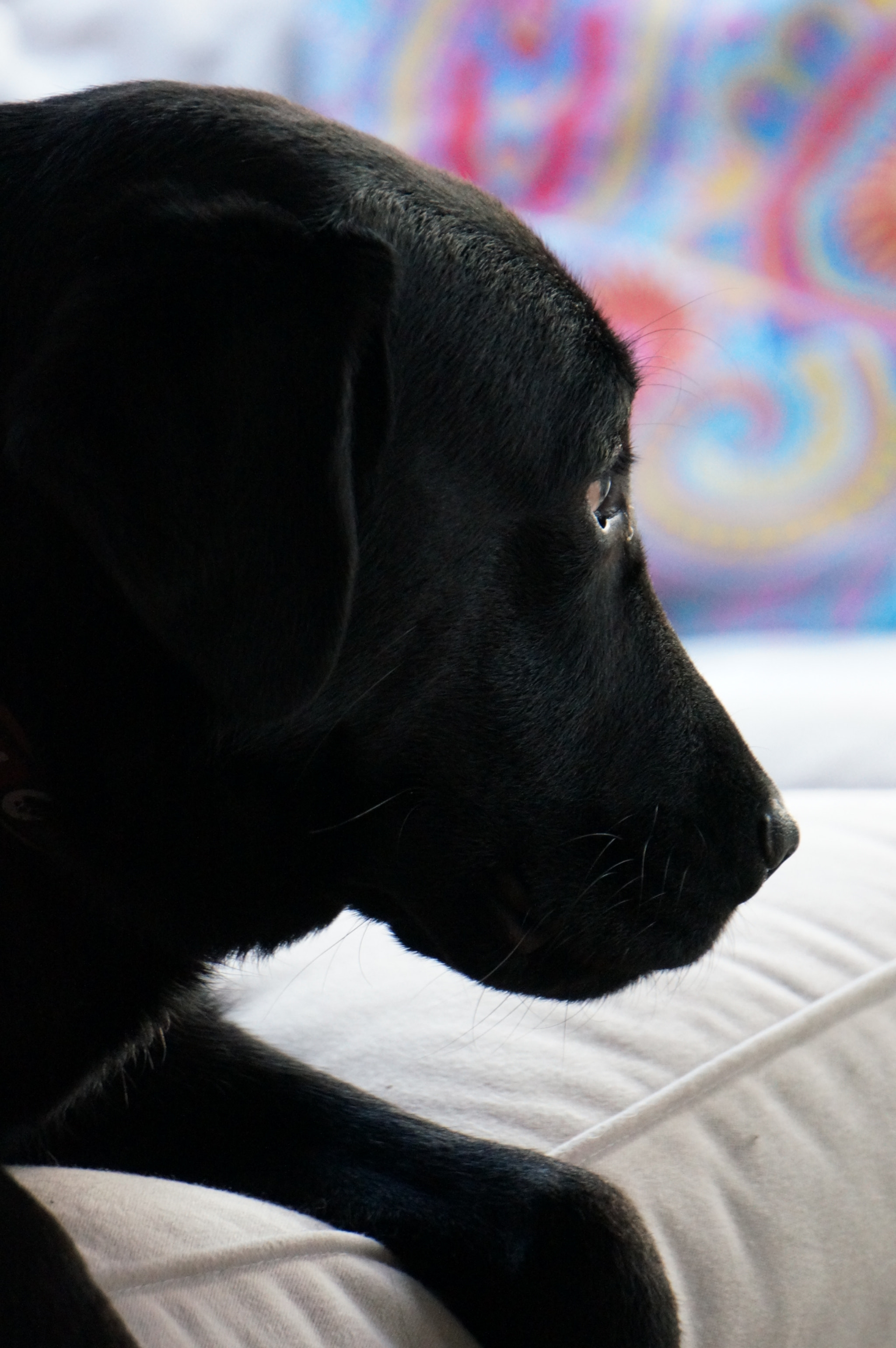 Sony E 55-210mm F4.5-6.3 OSS sample photo. Cuba photography