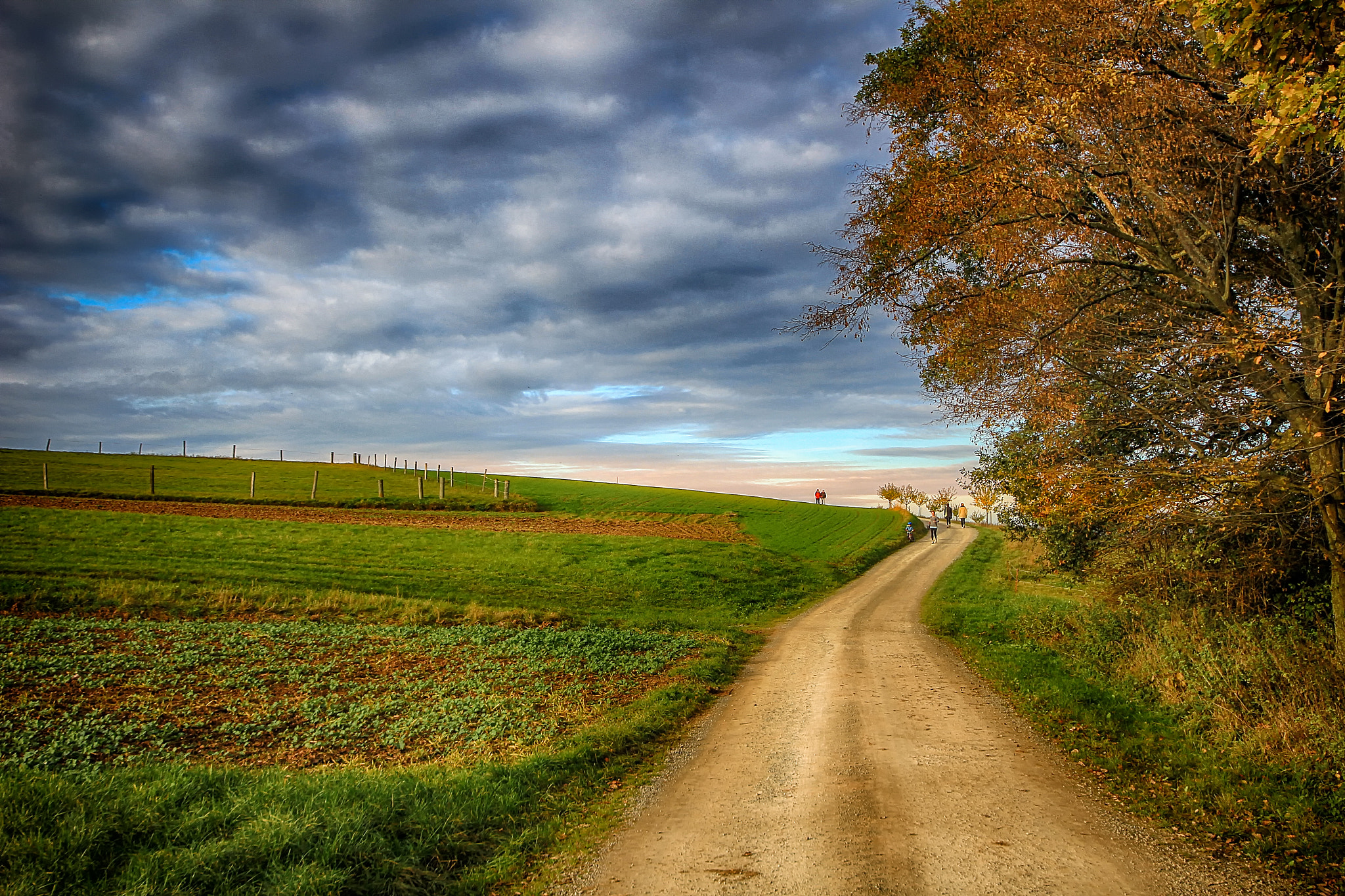 Canon EOS 60D + Sigma 12-24mm F4.5-5.6 II DG HSM sample photo. Country road photography