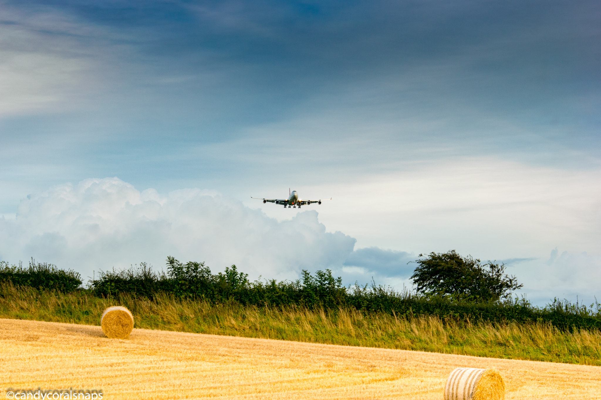 Sigma 70-200mm F2.8 EX DG OS HSM sample photo. Coming in to land photography