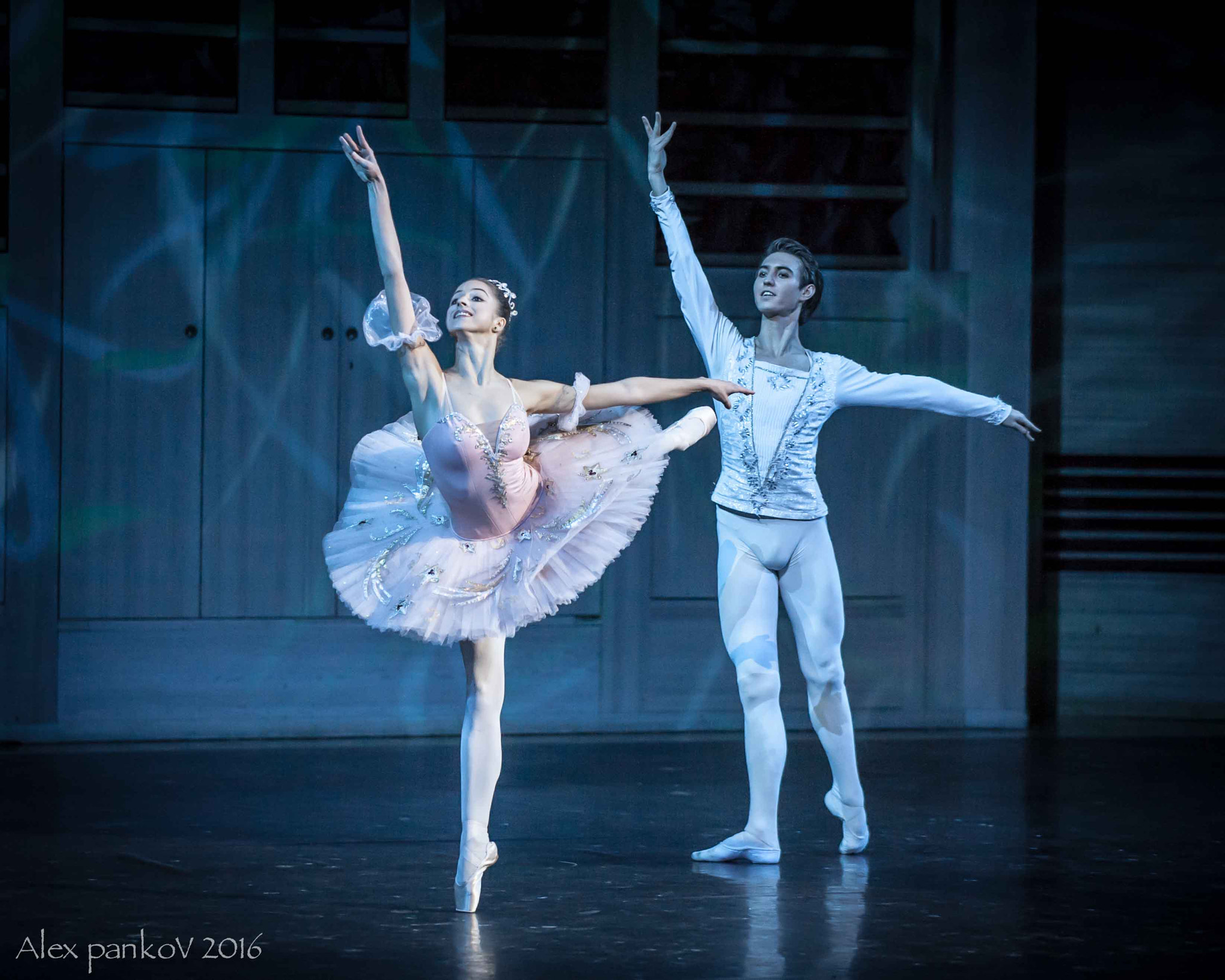 Nikon D3 sample photo. Nutcracker photography