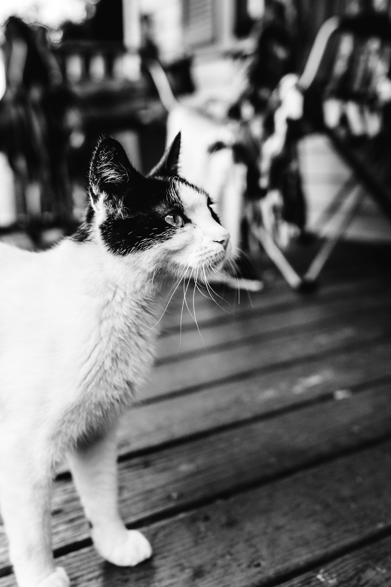 Sigma 24mm F1.4 DG HSM Art sample photo