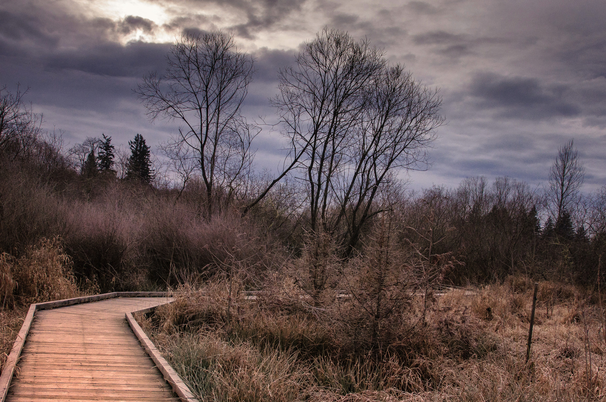 Nikon AF-S Nikkor 24-120mm F4G ED VR sample photo. Boardwalk photography