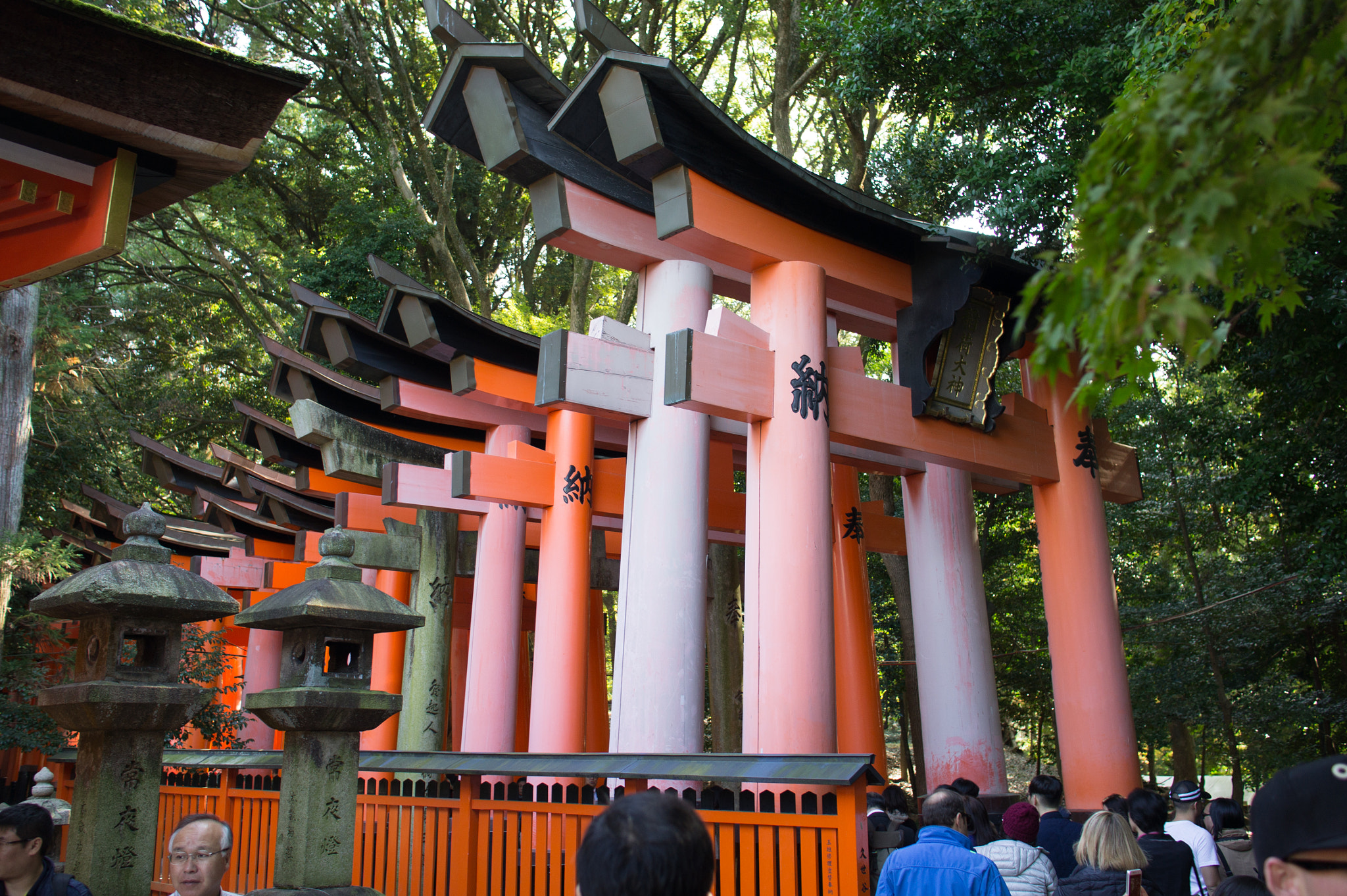 Sony Sonnar T* E 24mm F1.8 ZA sample photo. Senbon torii photography