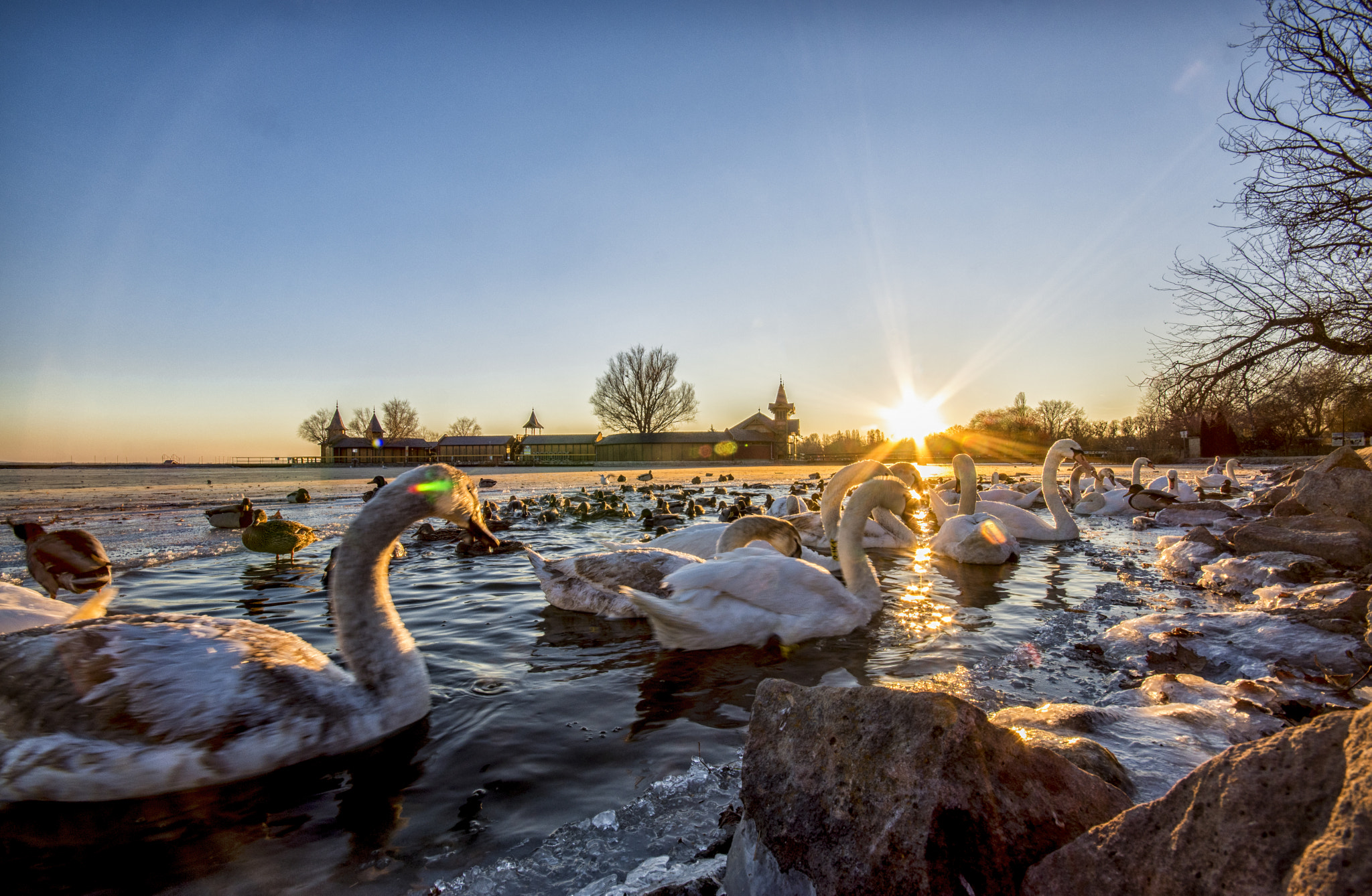 Sony SLT-A68 sample photo. Frozen at balaton lake photography